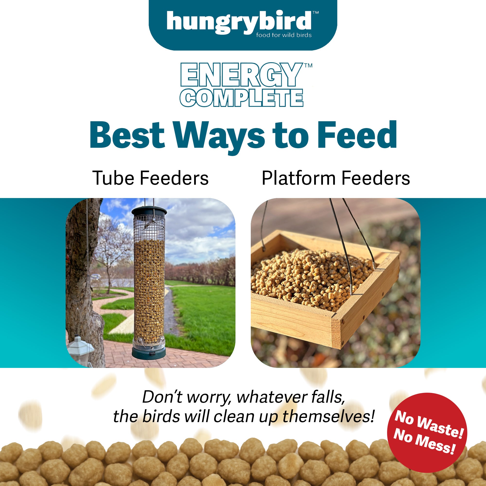 Hungrybird Energy Complete, 3lb - High-Protein Peanut Butter Suet Bites