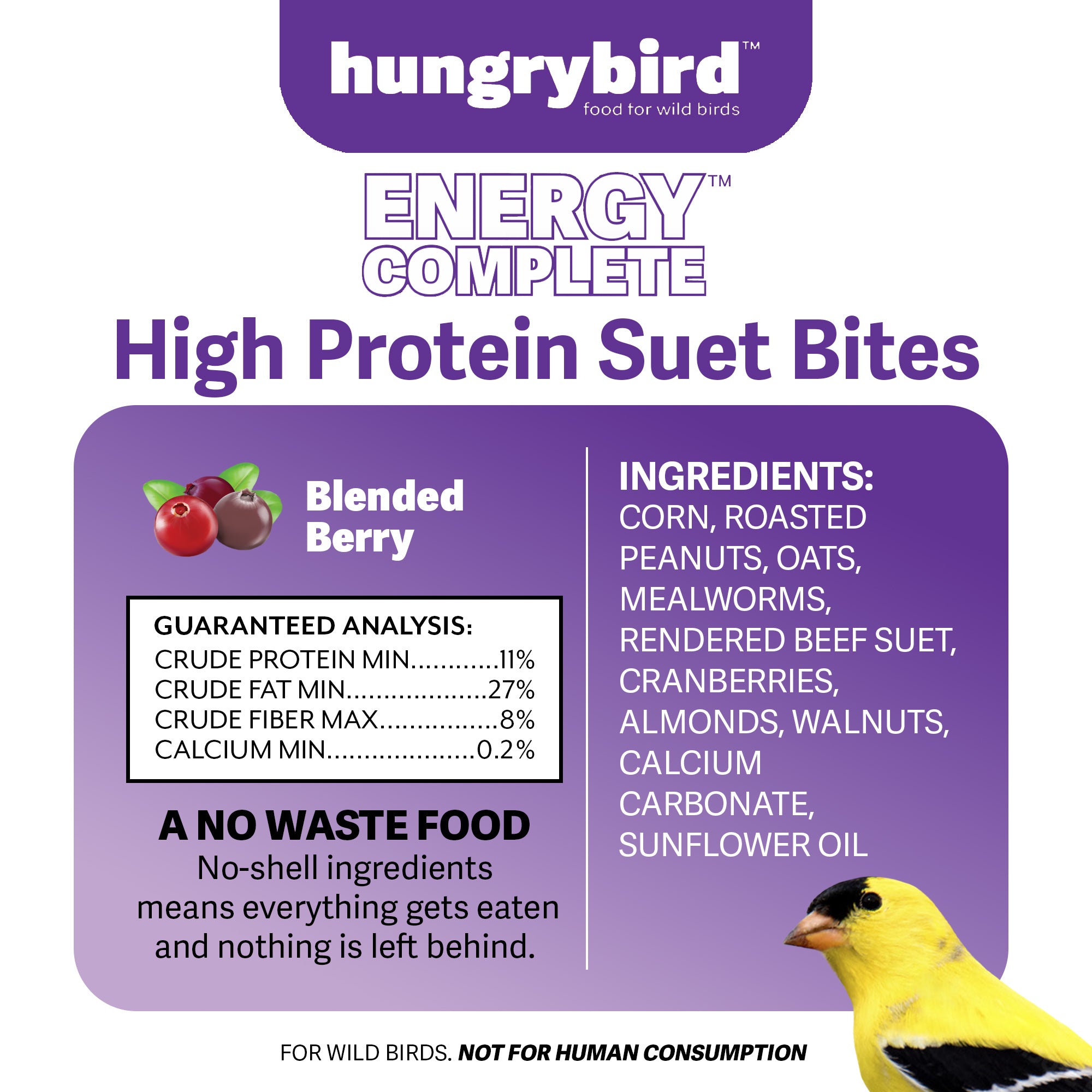 Hungrybird Energy Complete, 3lb - High-Protein Blended Berry Suet Bites