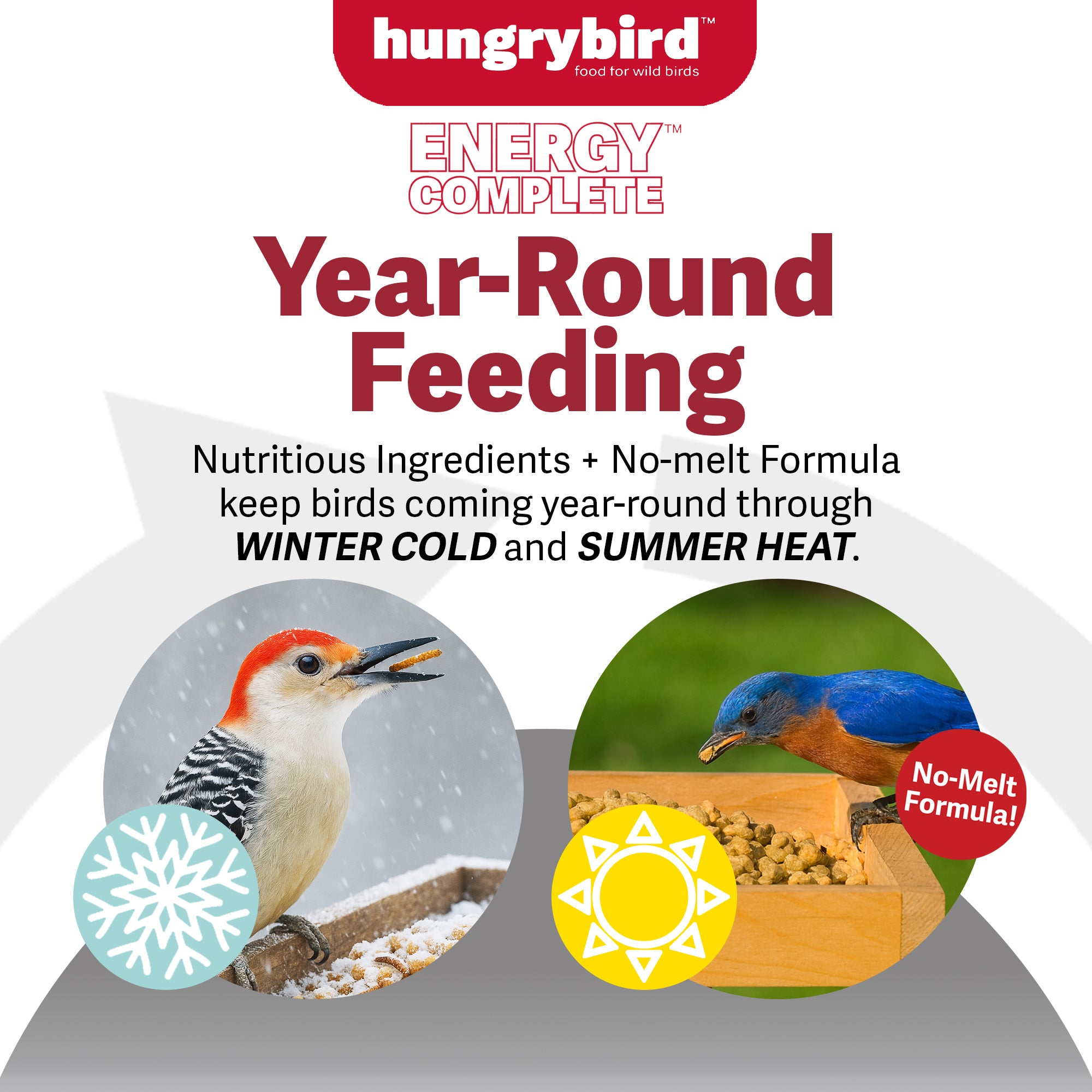 Hungrybird Energy Complete, 3lb - High-Protein Mealworm Suet Bites