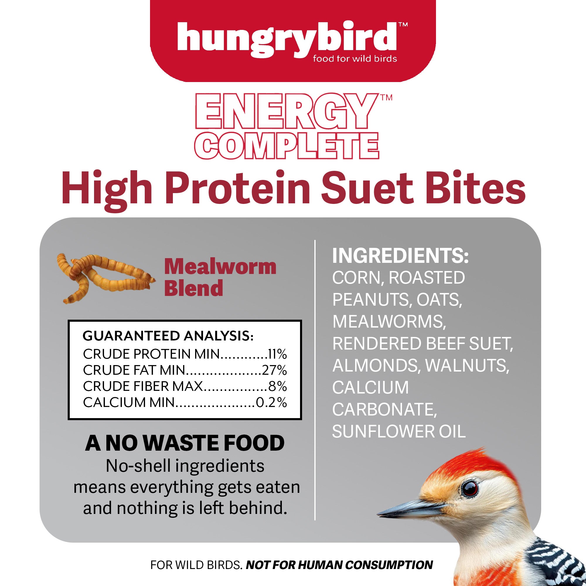 Hungrybird Energy Complete, 3lb - High-Protein Mealworm Suet Bites