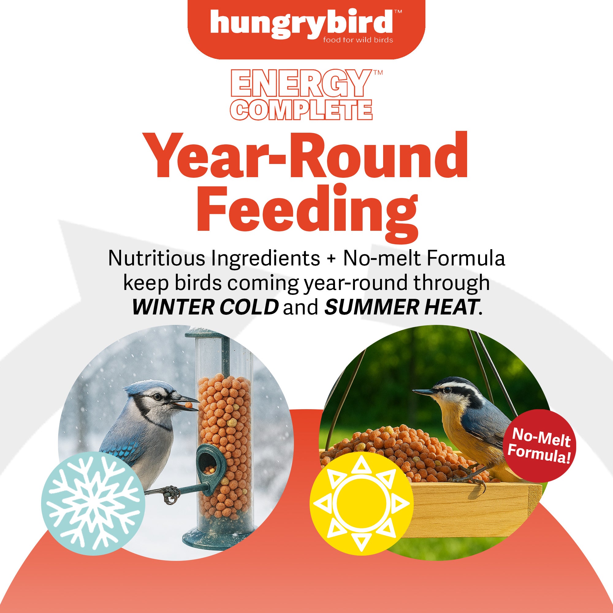 Hungrybird Energy Complete, 3lbs - High-Protein Hot Pepper Suet Bites