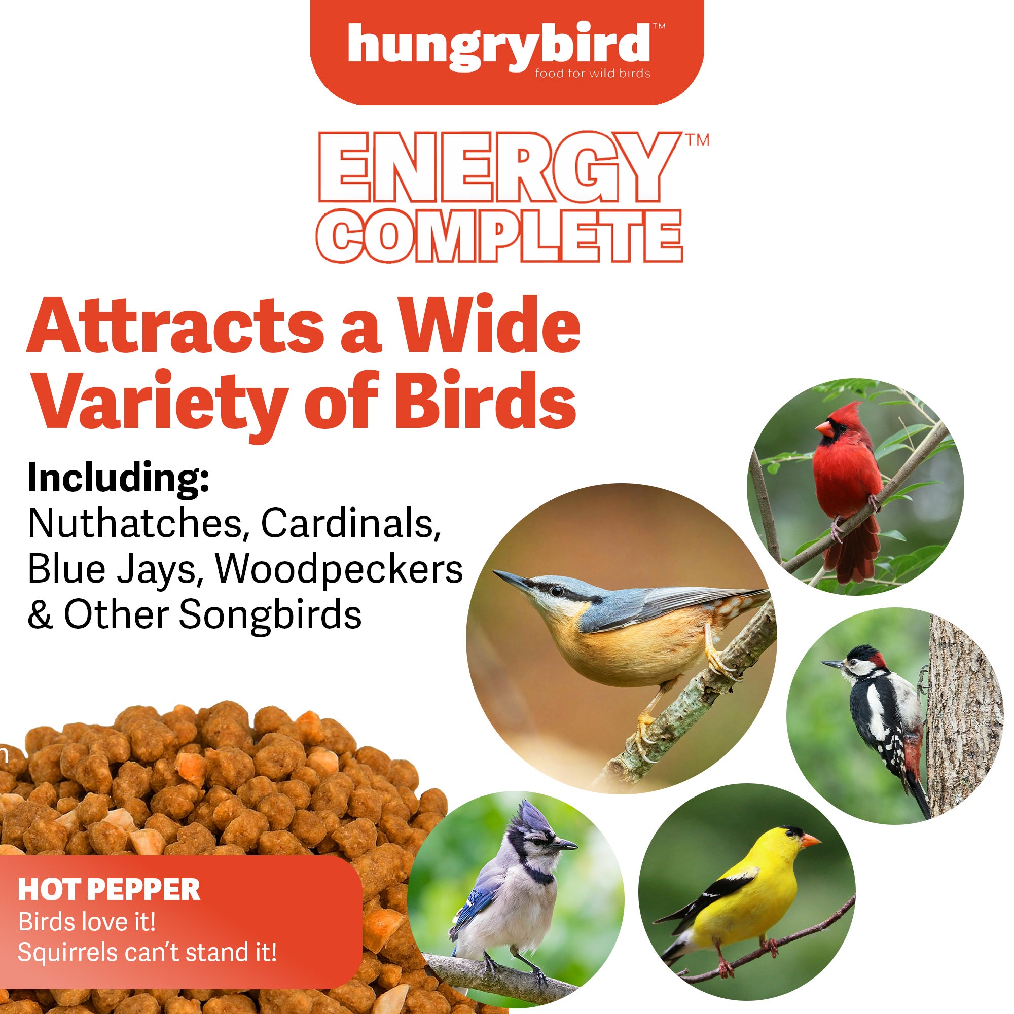 Hungrybird Energy Complete, 3lbs - High-Protein Hot Pepper Suet Bites