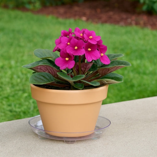 Curtis Wagner Plastics Clear Designer Series Heavy Plant Saucers, Footed — 10”