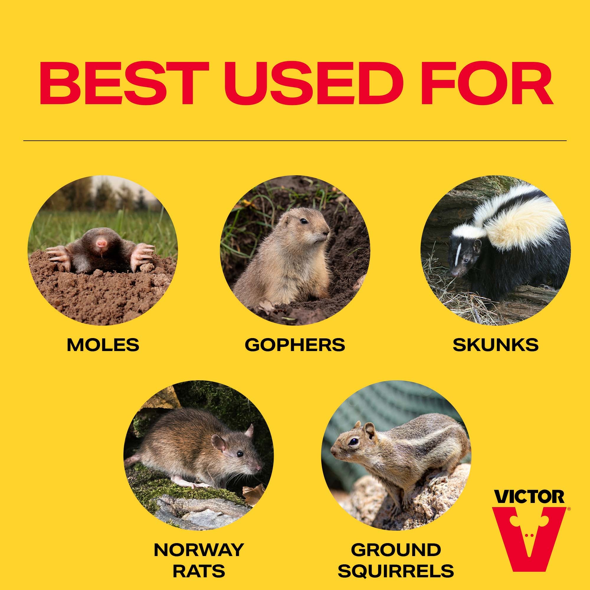 Victor Pest Quick Strike Mole & Gopher Gasser, 4-pack (Quantity of 1)