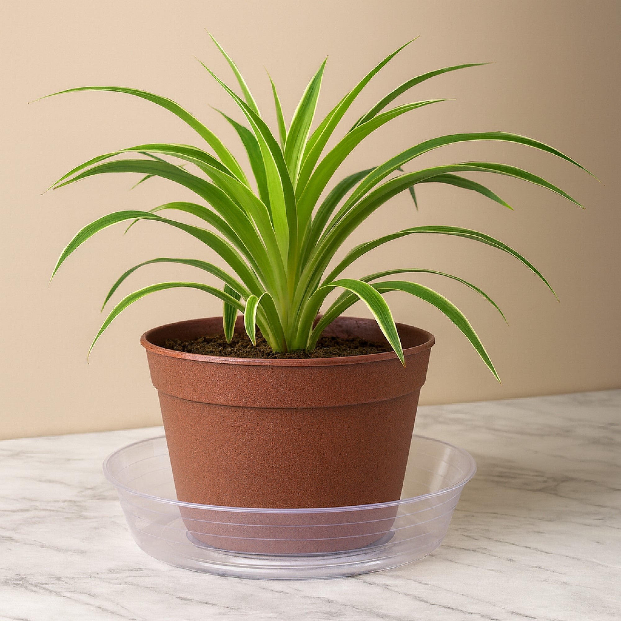 Curtis Wagner Heavy-Duty Clear Vinyl Basket Lining Plant Saucer, 8" (1 Pack)