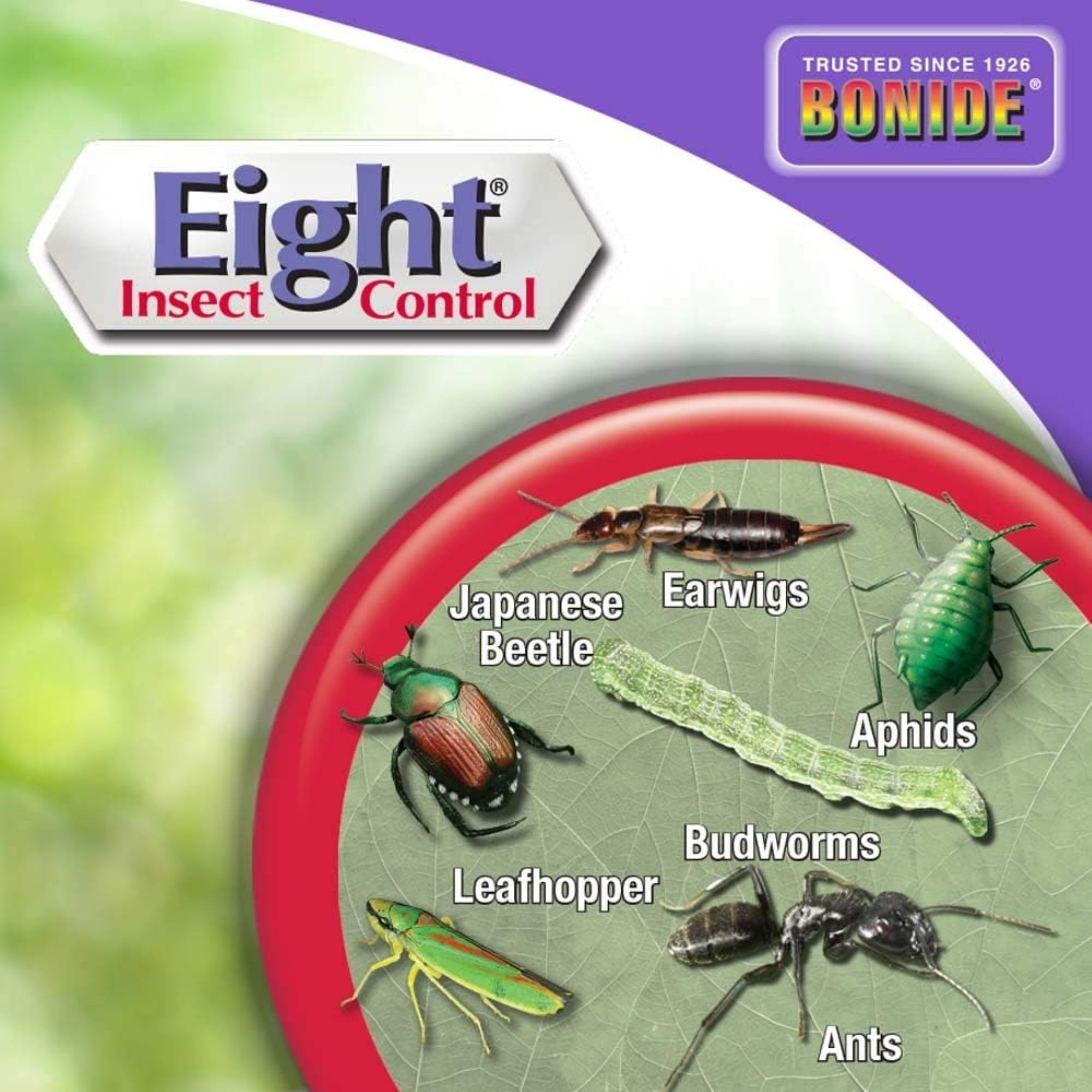 Bonide Eight Insect Control Garden & Home, Ready-to-Use with Sprayer, Insecticide for Outdoors, Kills Beetles, Aphids, Ants, 128oz
