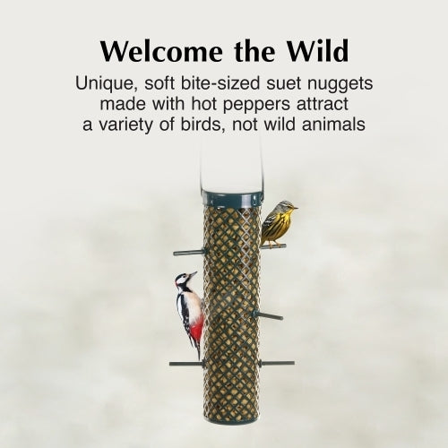 C&S Hot Pepper Suet Nuggets — No-Melt, Mess-Free High-Energy Bird Feed, 27oz