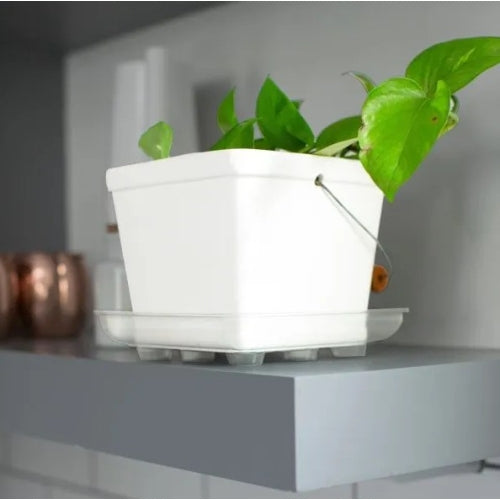 Curtis Wagner Plastics Designer Series Heavy Gauge Saucer, Footed Square, Clear — 14"