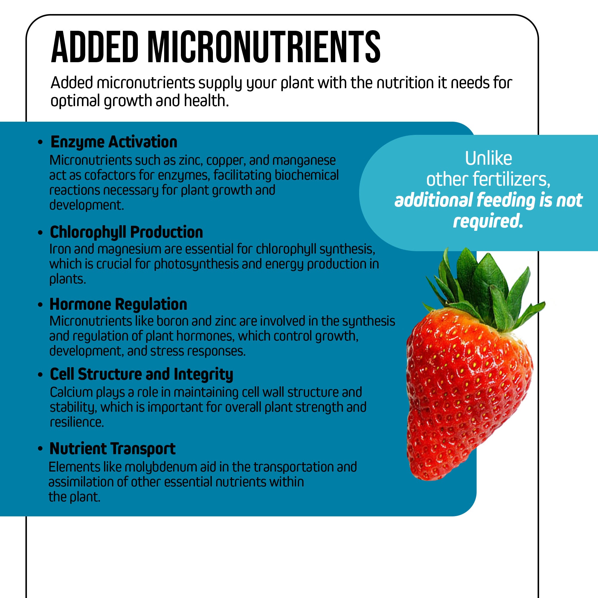 Jack's Nutrients 8-10-26 Strawberry Part A Water-Soluble Fertilizer for Strawberry Fruit Production in Continuous Liquid Feed Program, 2.2lbs