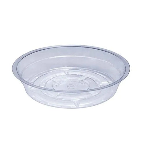 Curtis Wagner Plastics Vinyl Plant Saucer — Air-Flow Bottom Design, Clear — 6"