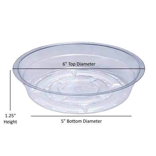 Curtis Wagner Plastics Vinyl Plant Saucer — Air-Flow Bottom Design, Clear — 6"