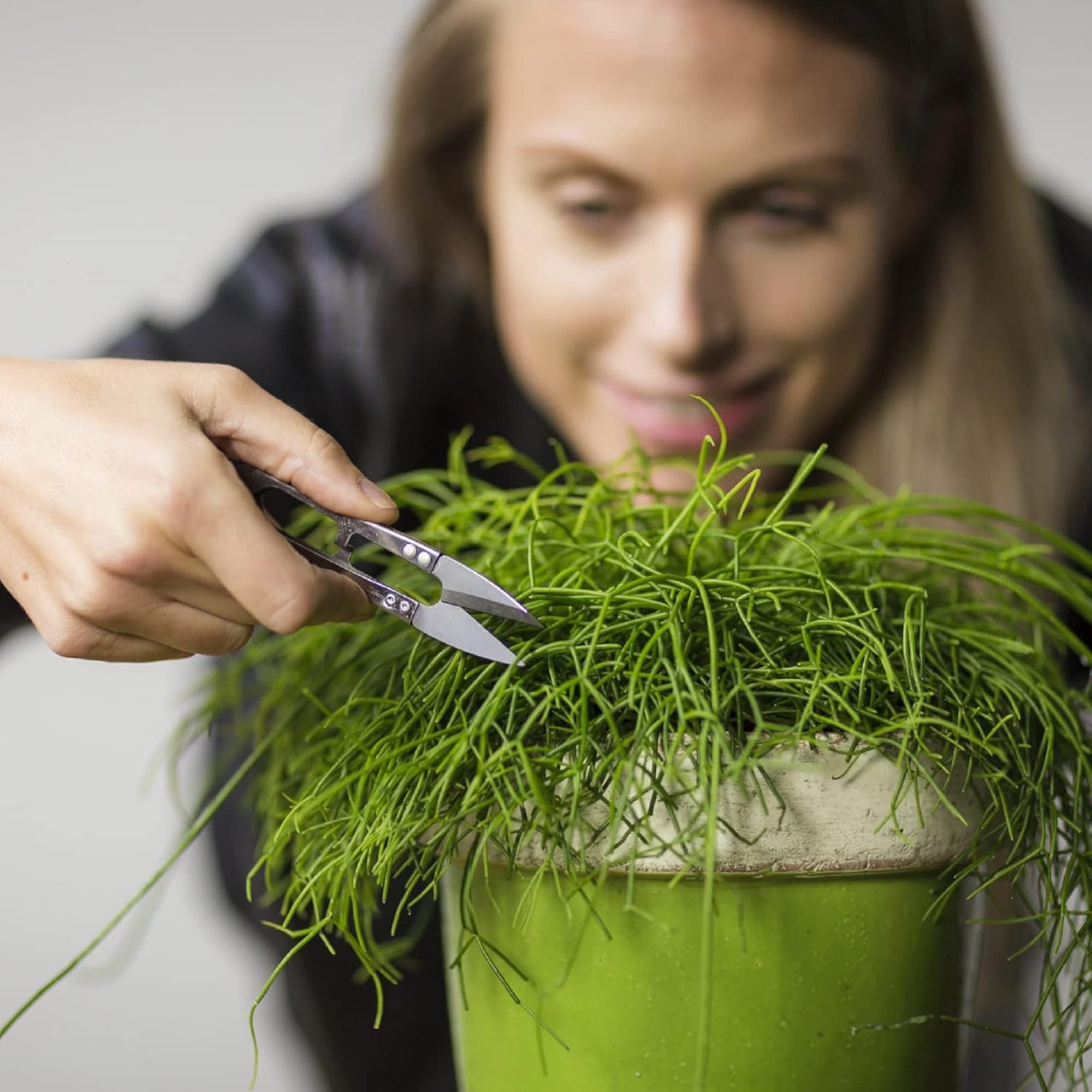 Esschert Design Fallen Fruits Mini Pruning Scissors, Silver, 4.5"