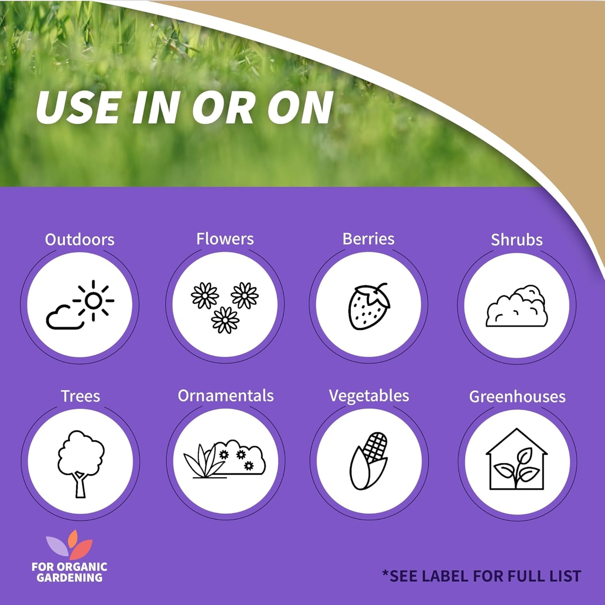 Bonide Captain Jack’s Slug Magic Bait and Killer for Snails and Slugs