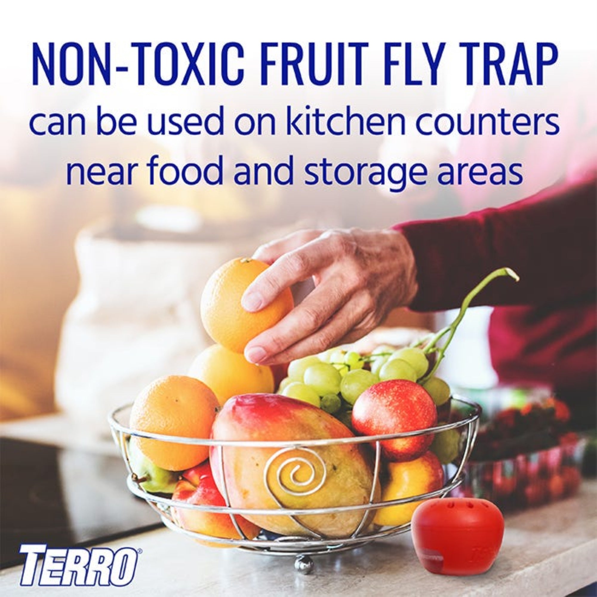 Terro Apple-Shaped Indoor Fruit Fly Lure and Traps – Includes 2 Traps