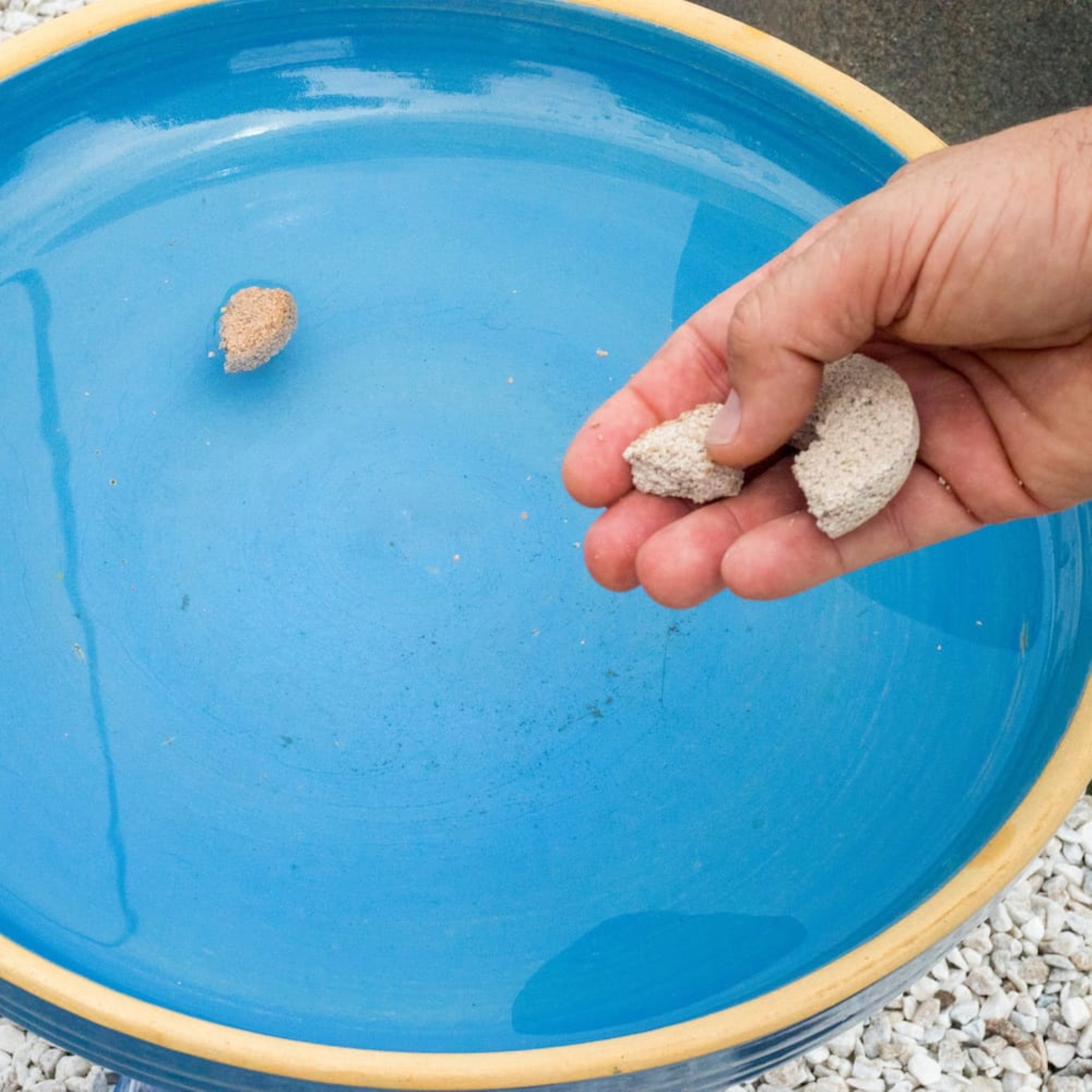 Summit Mosquito Dunks, Pack of 6 - Biological Larvae Control for Standing Water