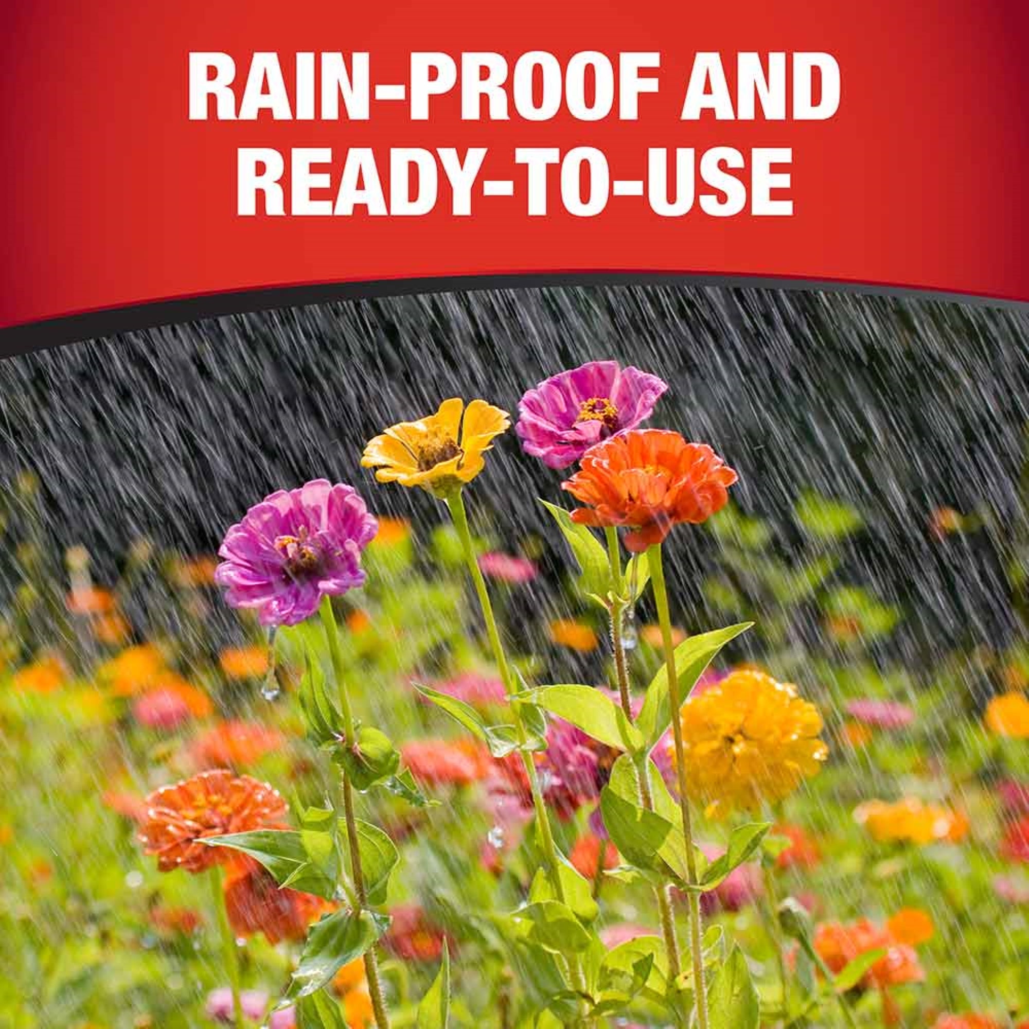 Daconil Rain-Proof Fungicide 3-Way Control Concentrate, 16 fl oz