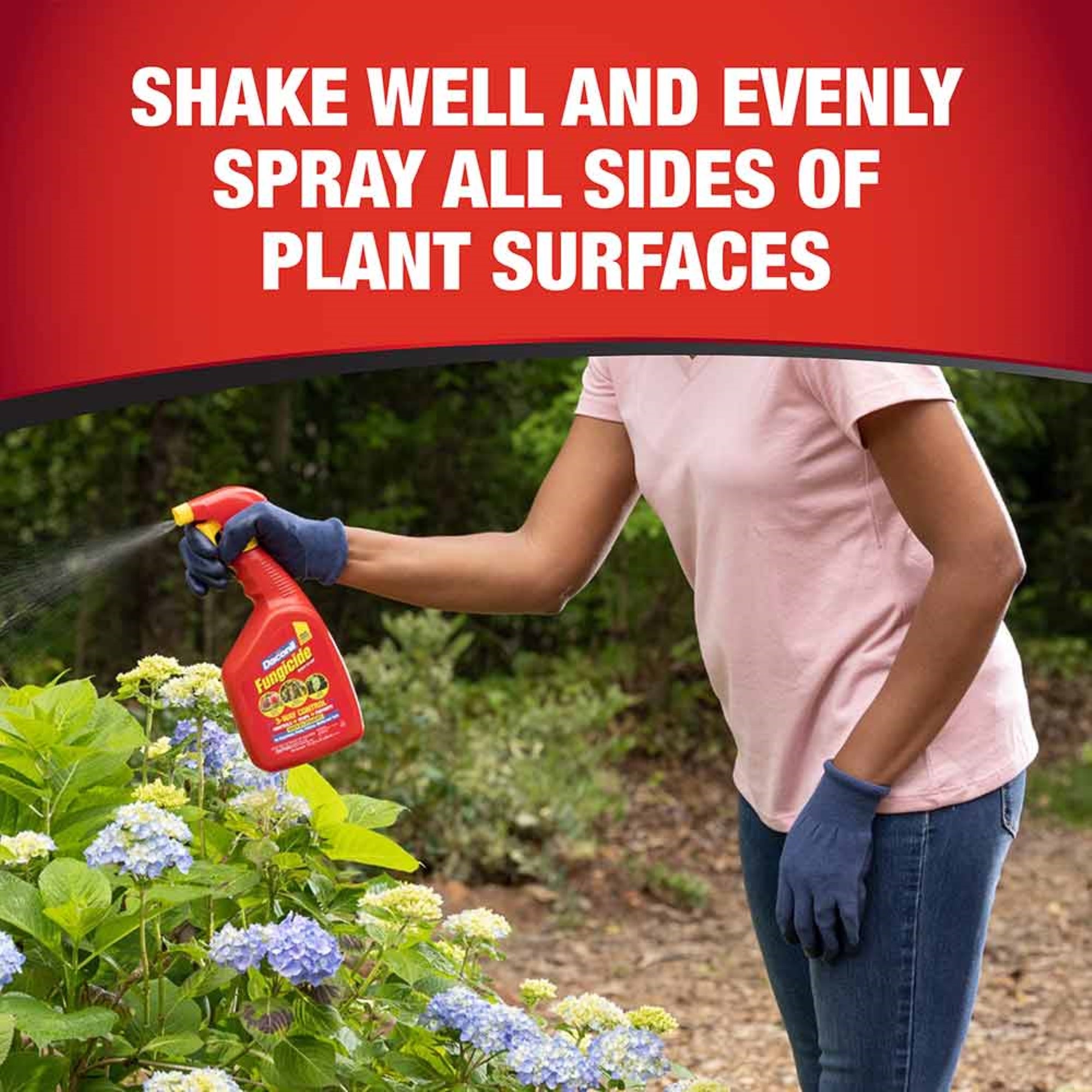 Daconil Rain-Proof Fungicide 3-Way Control Concentrate, 16 fl oz