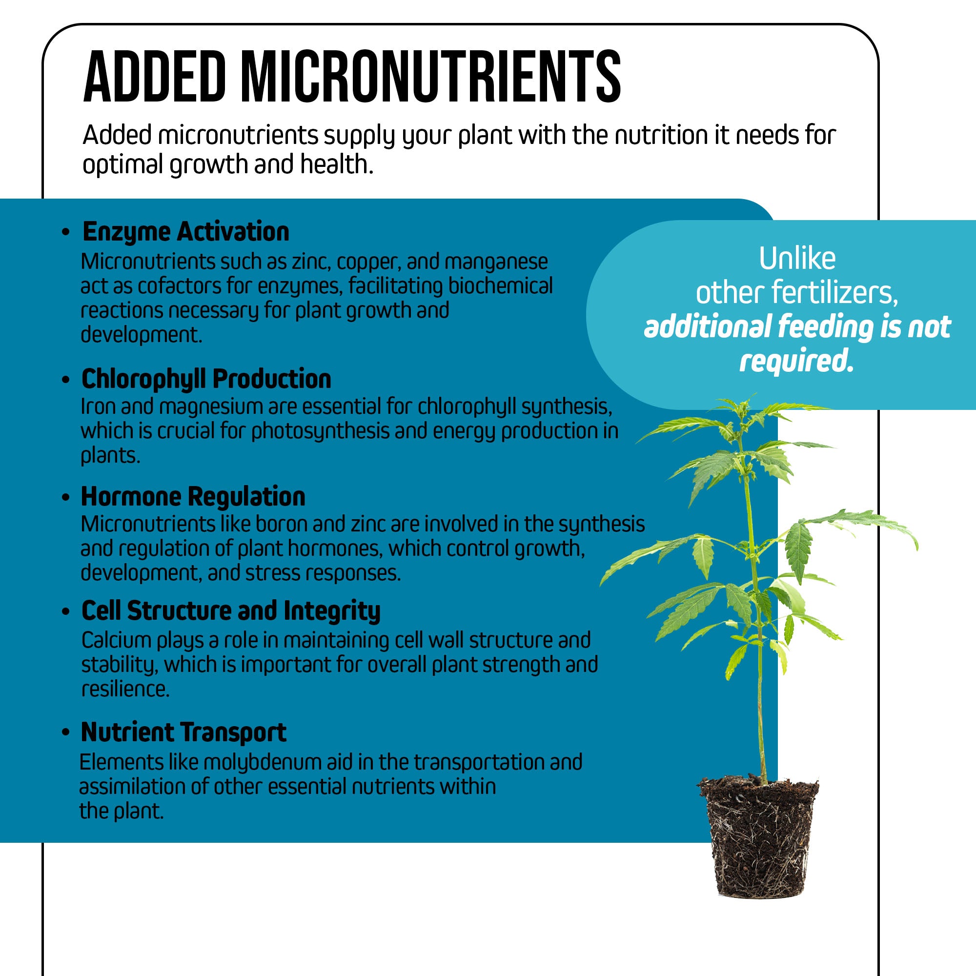 Jack's Nutrients 15-6-17 Clone Water-Soluble Fertilizer