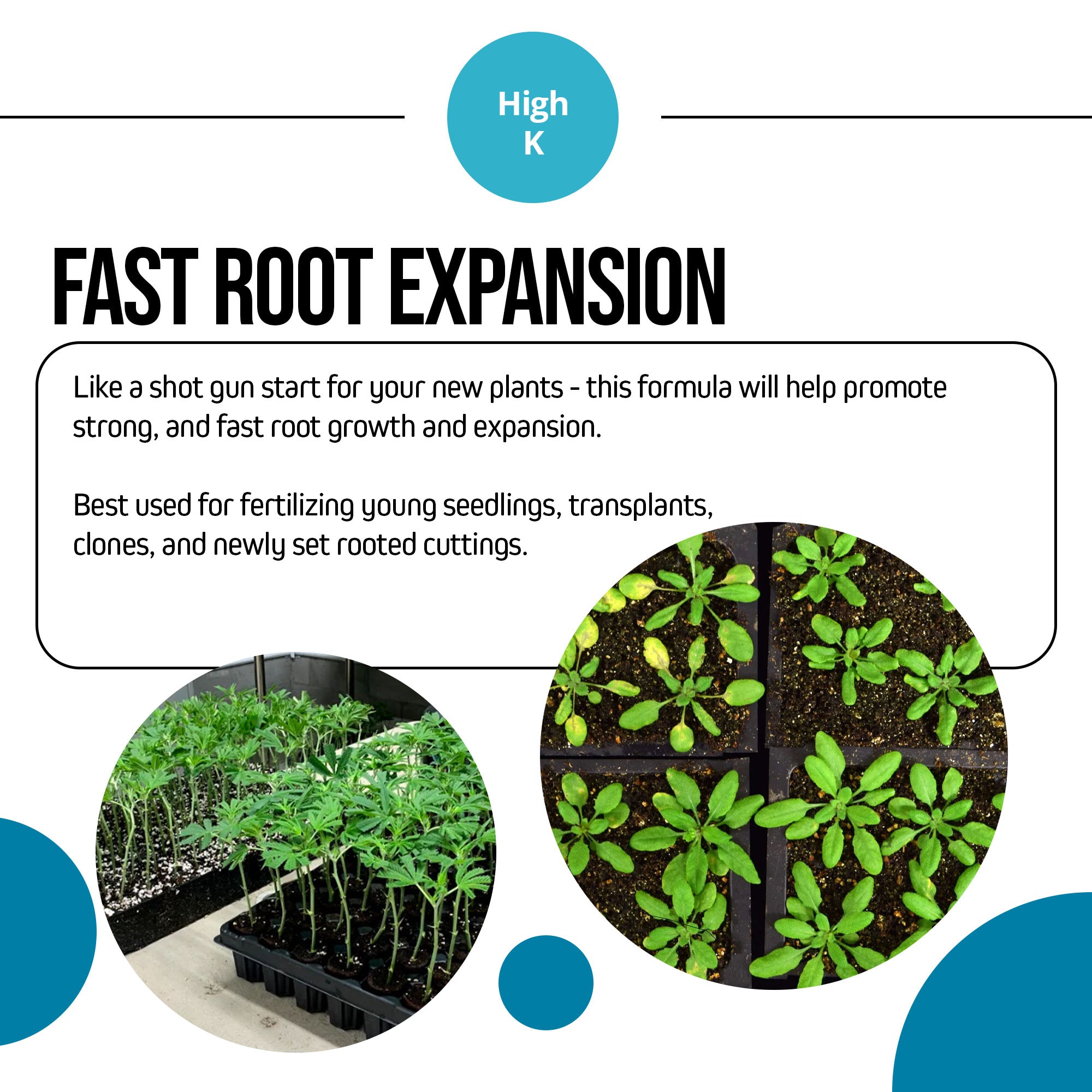 Jack's Nutrients 15-6-17 Clone Water-Soluble Fertilizer