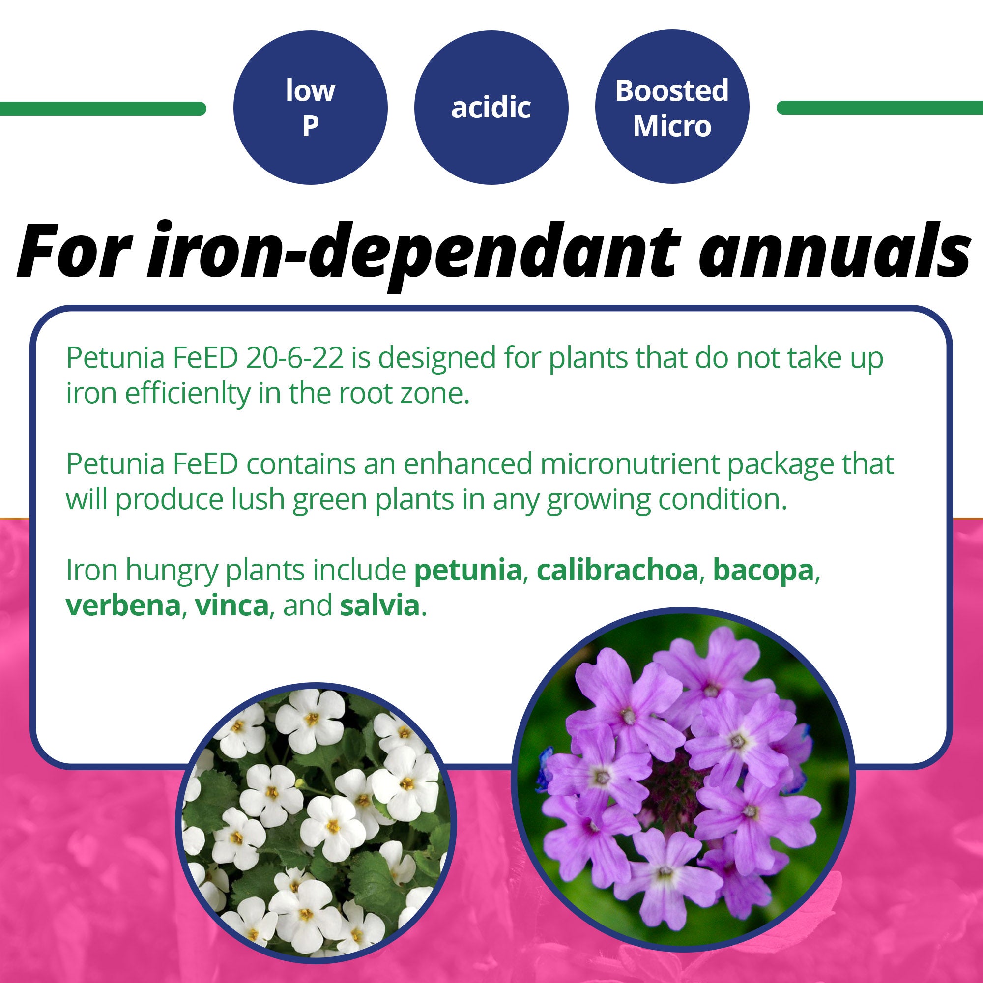 Jack's Classic 20-6-22 Petunia FeED Water-Soluble Fertilizer