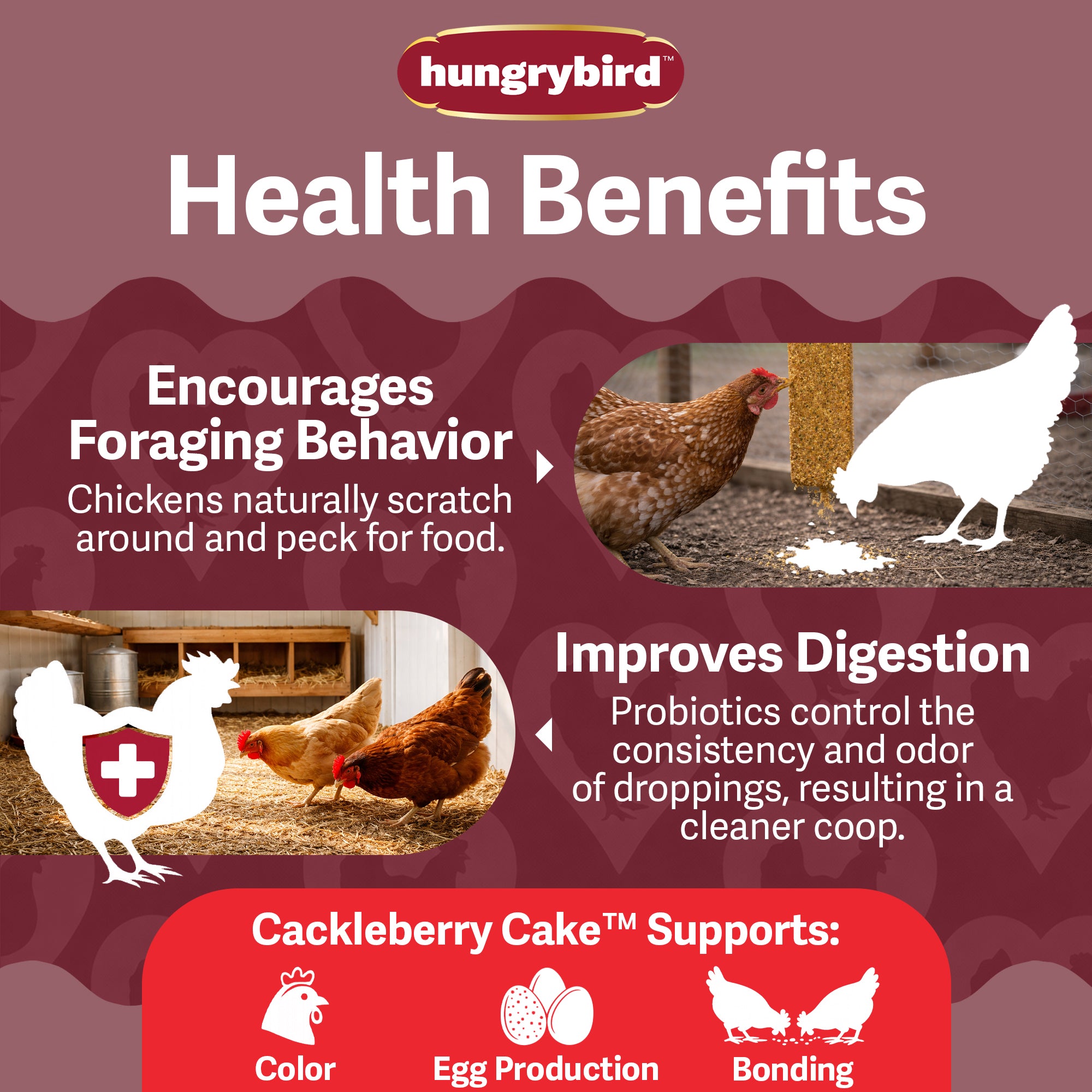 Hungrybird Cackleberry Suet Cake Treat, 15oz – All-Natural Poultry Snack