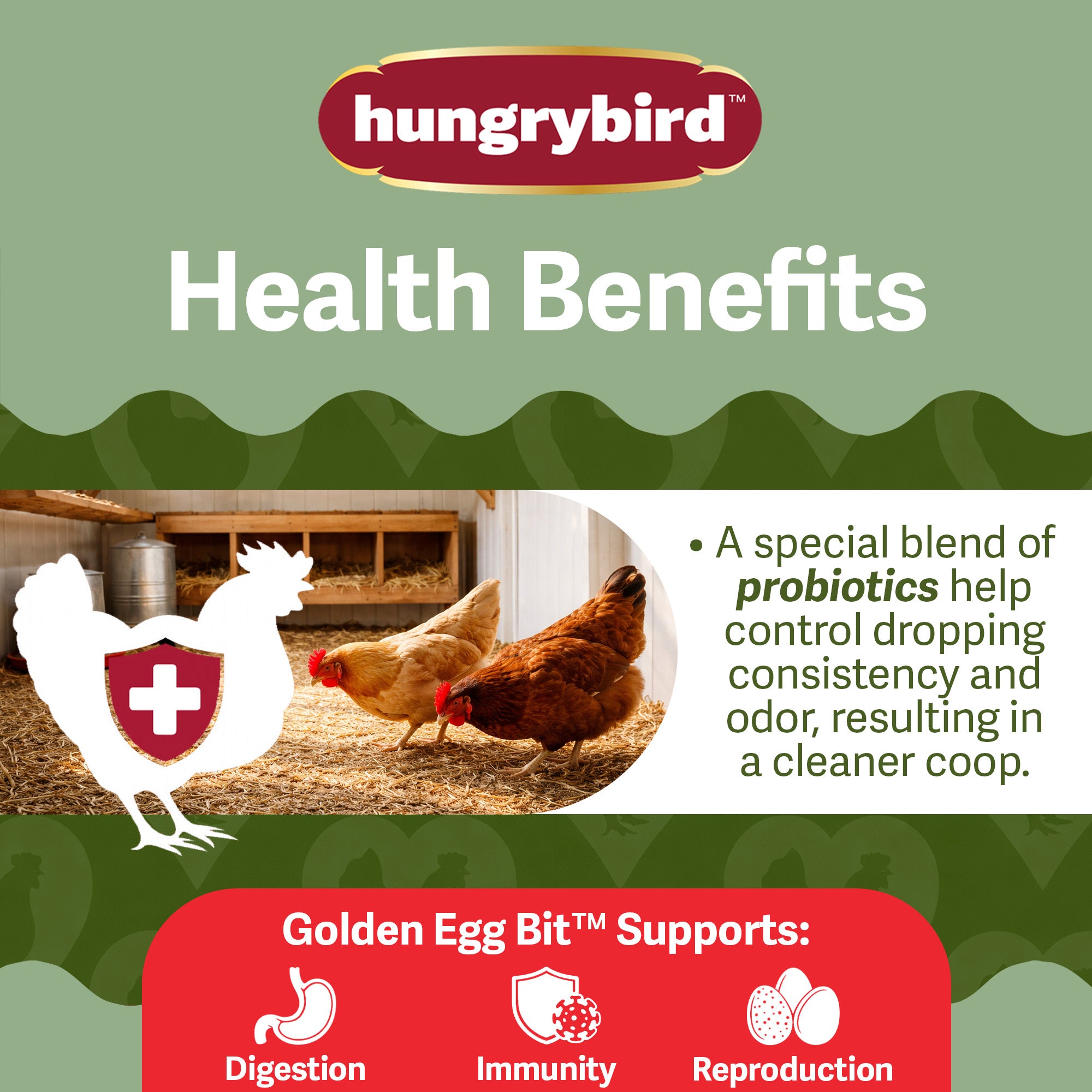 Hungrybird Golden Egg Bits, 1.75lbs – All-Natural Suet Poultry Treats