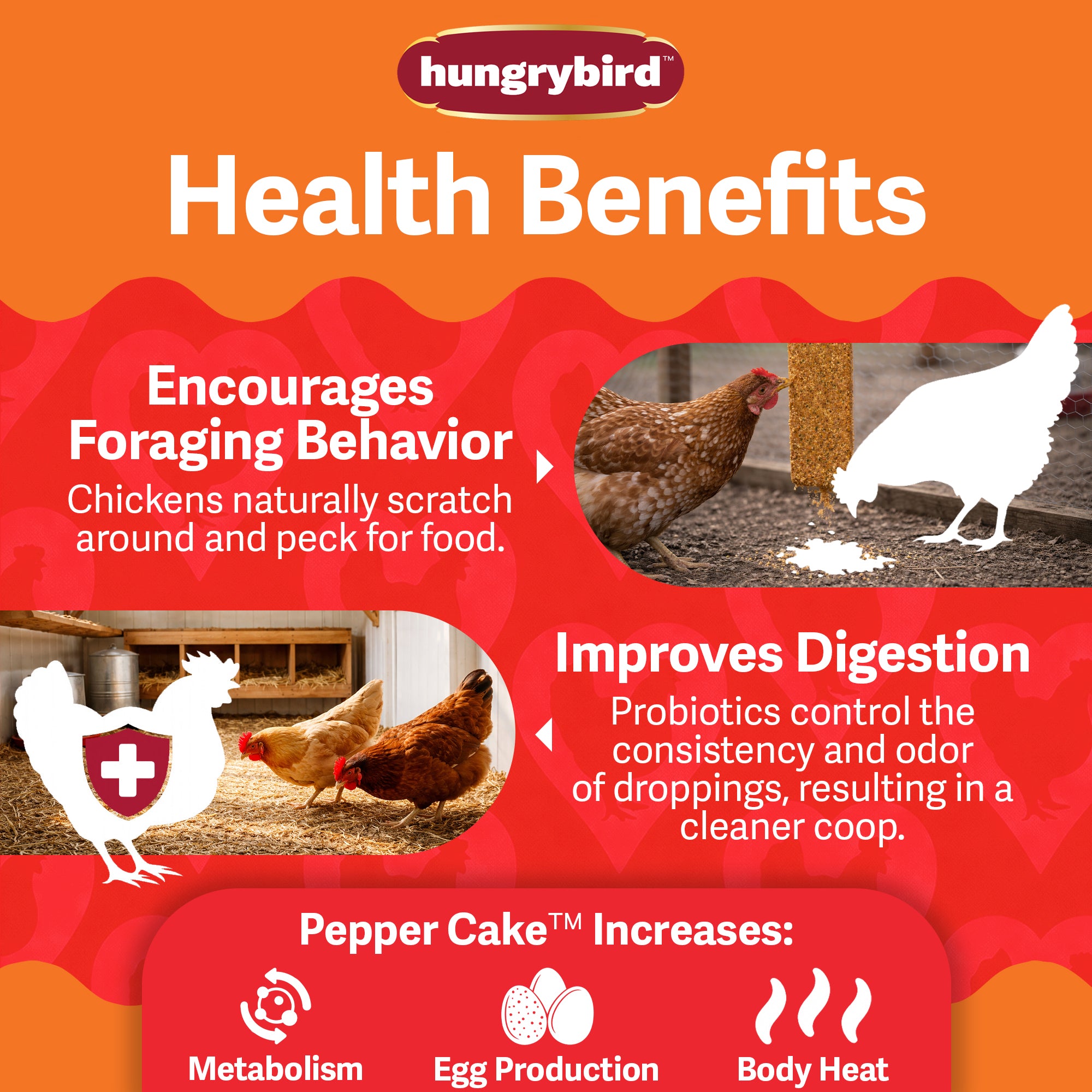 Hungrybird Red Pepper Suet Cake, 15oz – All-Natural Poultry Snack