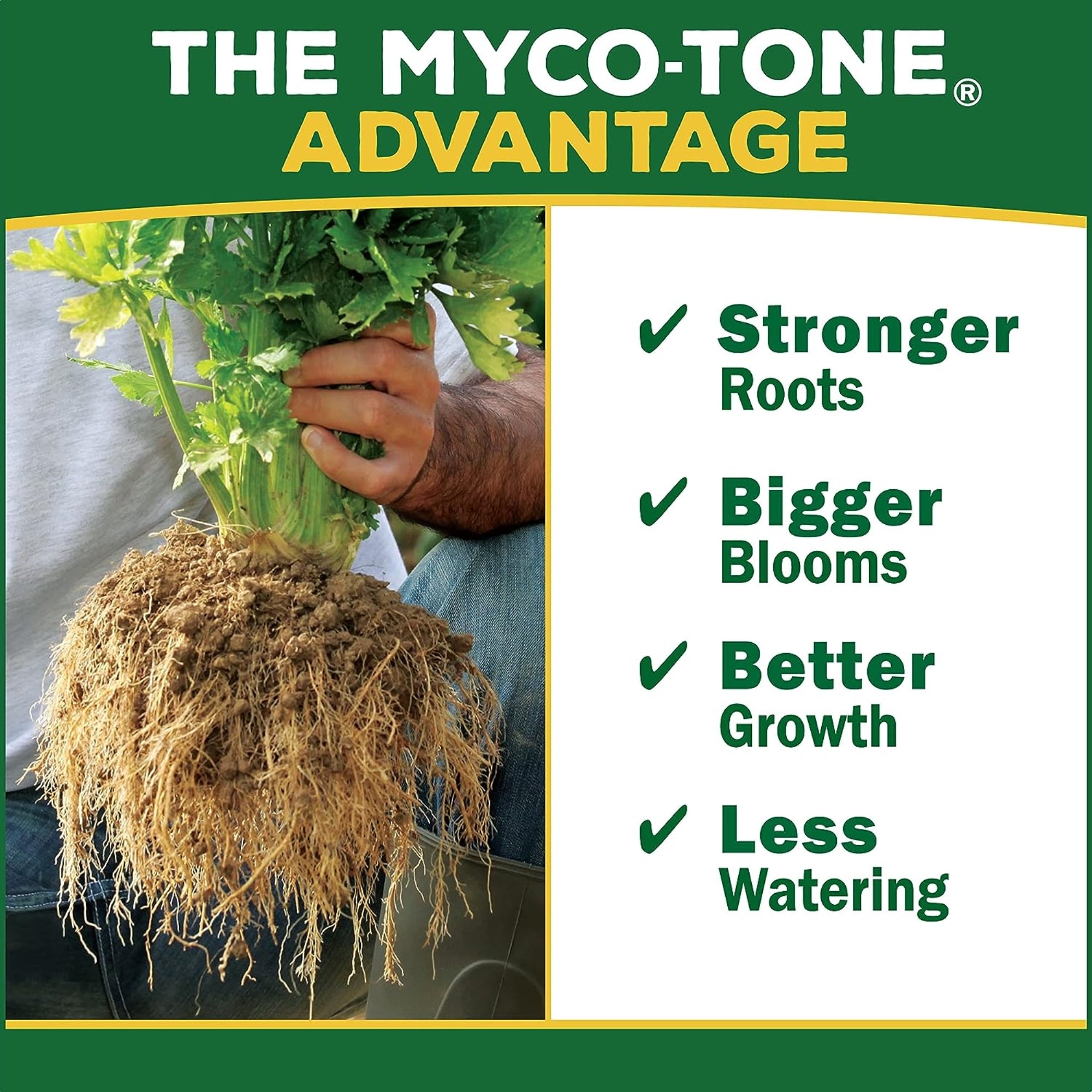 Espoma Organic Bio-Tone Starter Plus 4-3-3 Starter Plant Food with Mycorrhizae