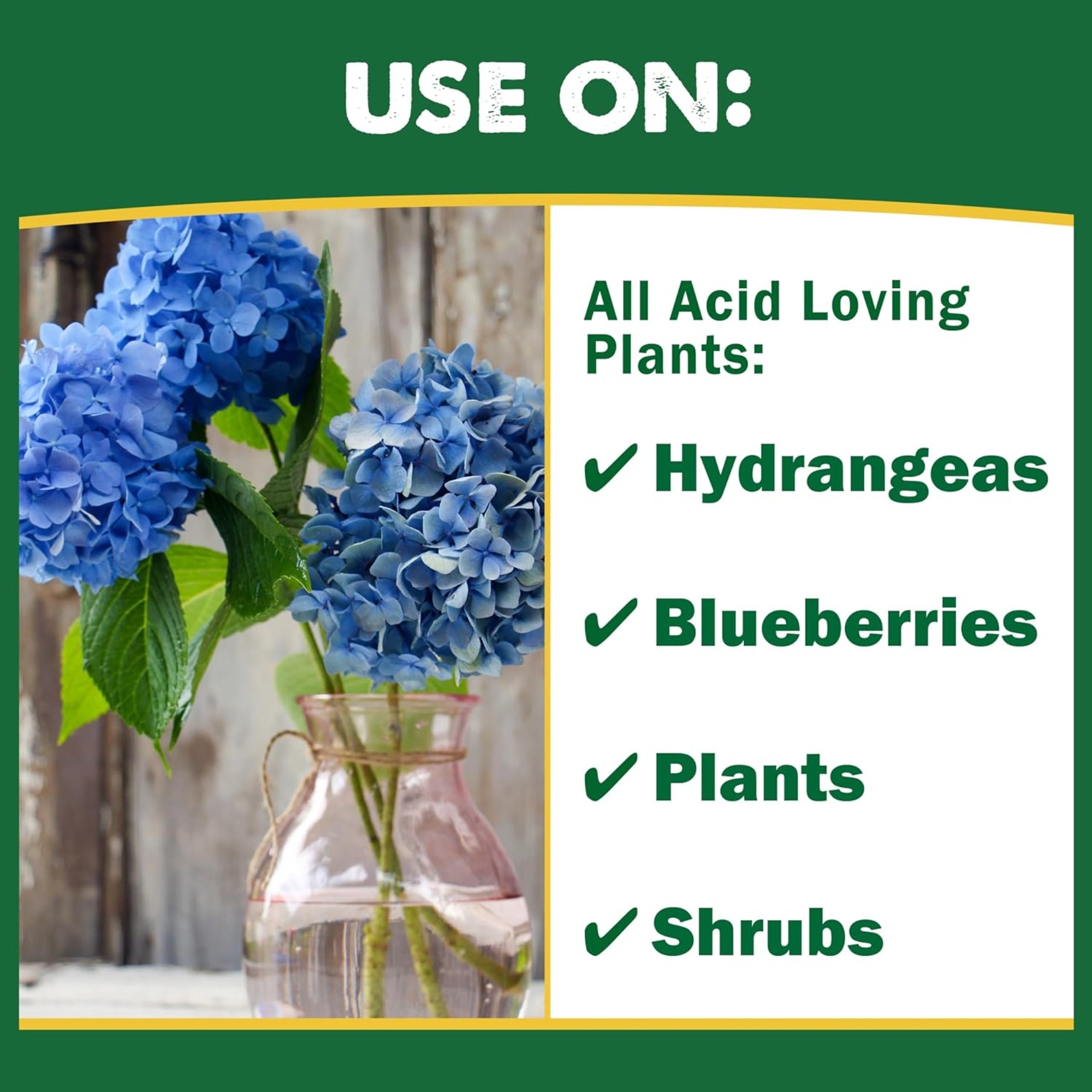 Espoma Organic Soil Acidifier – Lowers Soil pH and Turns Hydrangeas Blue