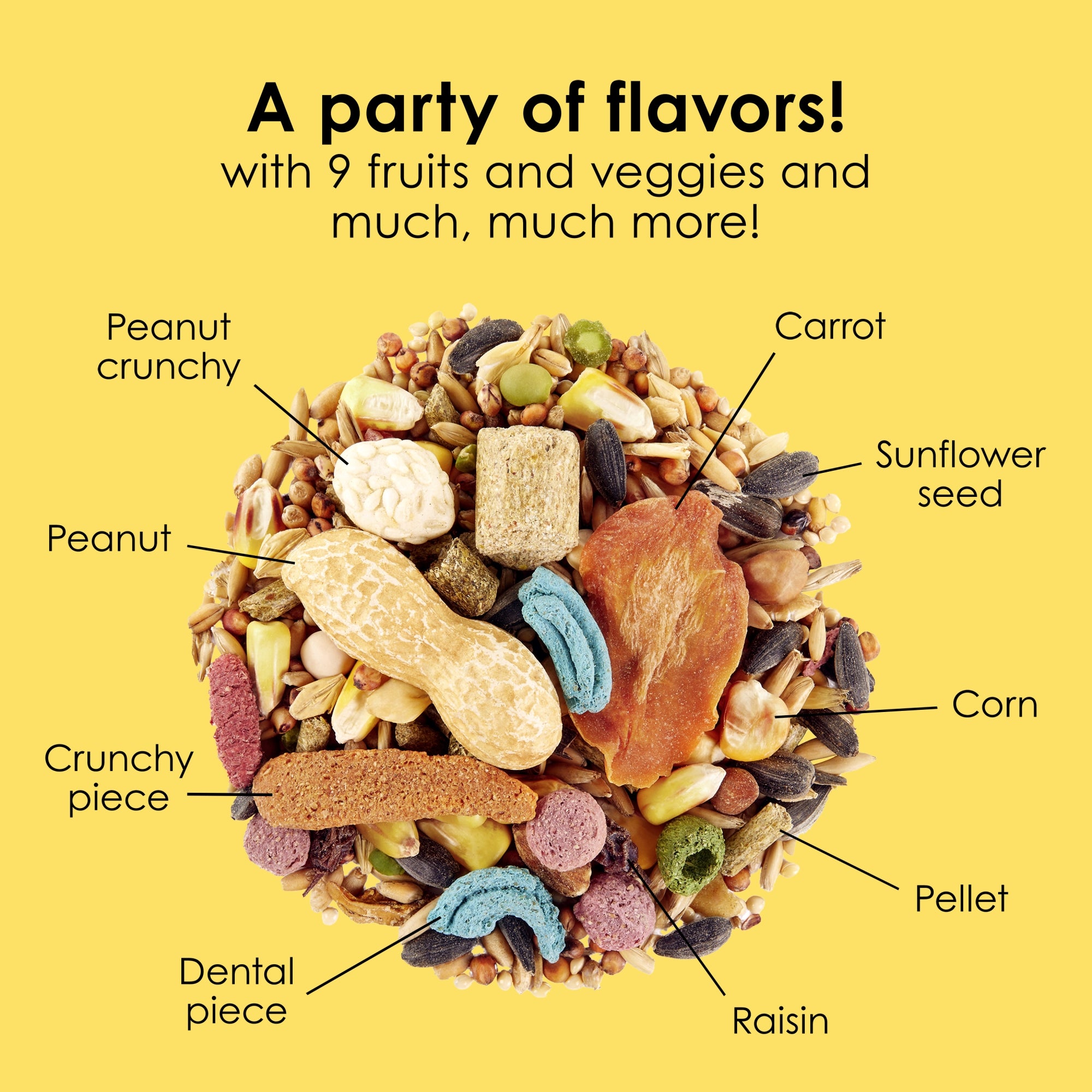 Kaytee Fiesta Mouse and Rat Food, 15lbs – Supports Immune Health and Digestion