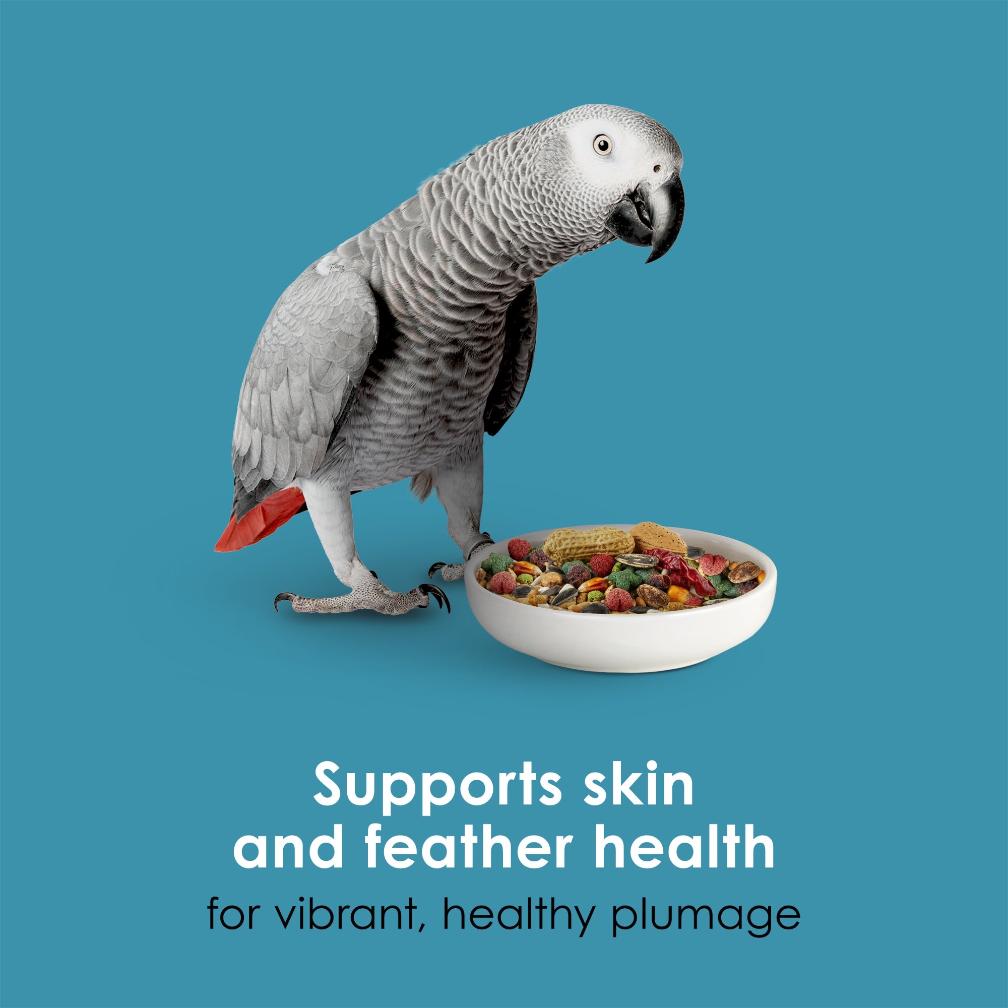 Kaytee Forti-Diet Pro Health Nourish+Protect Parrot Food, 25lbs