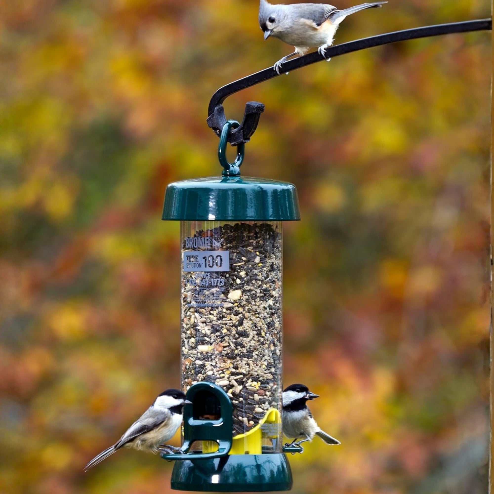 Brome Tube Solution 100 Backyard Bird Feeder, 1.7lb Capacity, 2 Feeding Ports