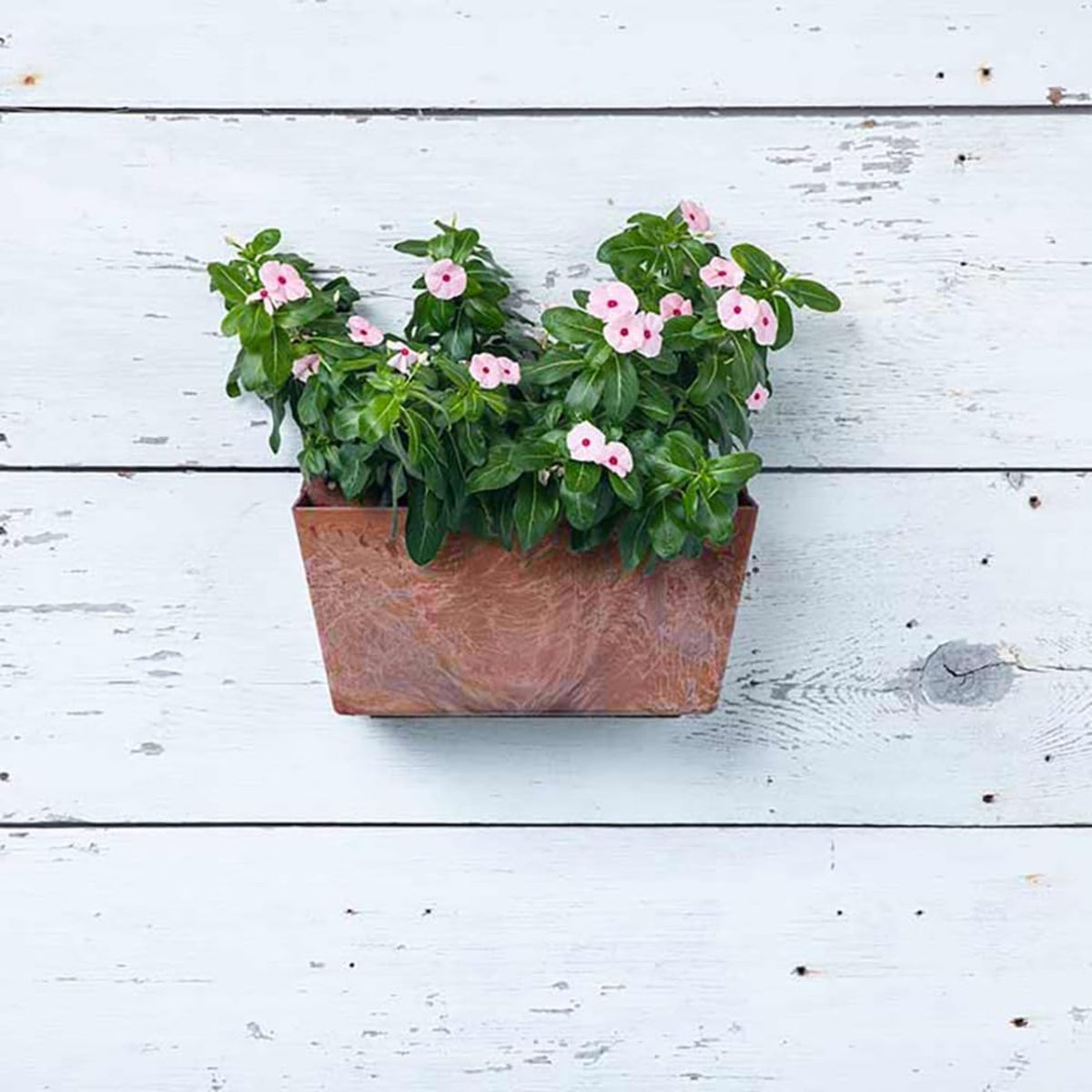 Root & Vessel Self Watering Rectangular Artstone Wall Planter, Rust, 1