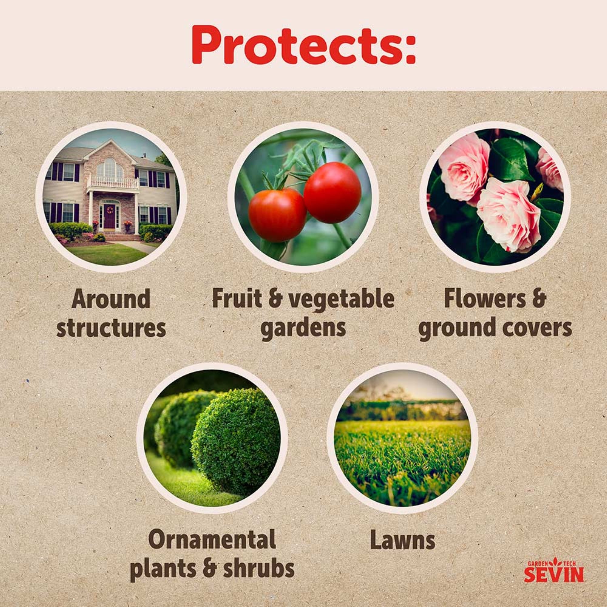 Sevin Insect Killer Pest Control Liquid Concentrate for Gardens, 1 Pint