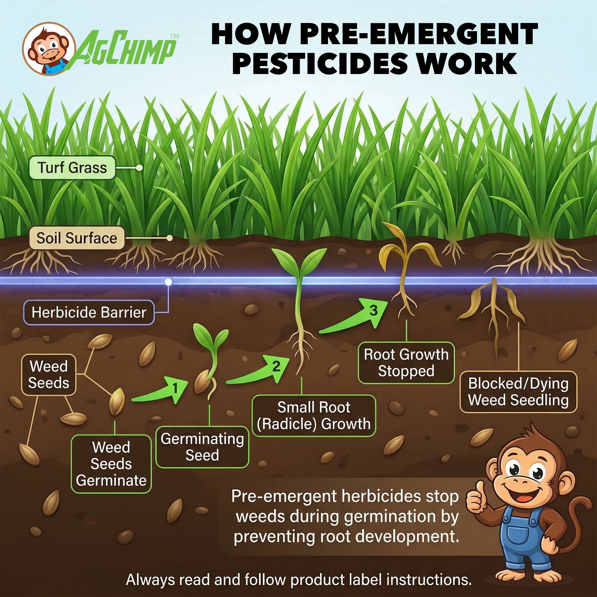 AgChimp 5-0-30 Prodiamine Pre-Emergent Herbicide Plus Turf Fertilizer, 15lbs