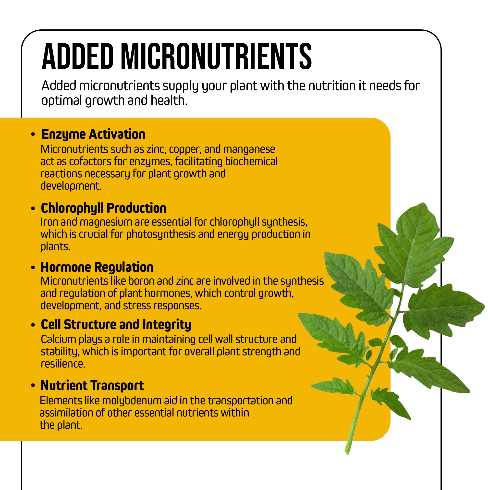 Jack’s Nutrients 15-0-0 Cal-Trate Water-Soluble Fertilizer, 25lbs