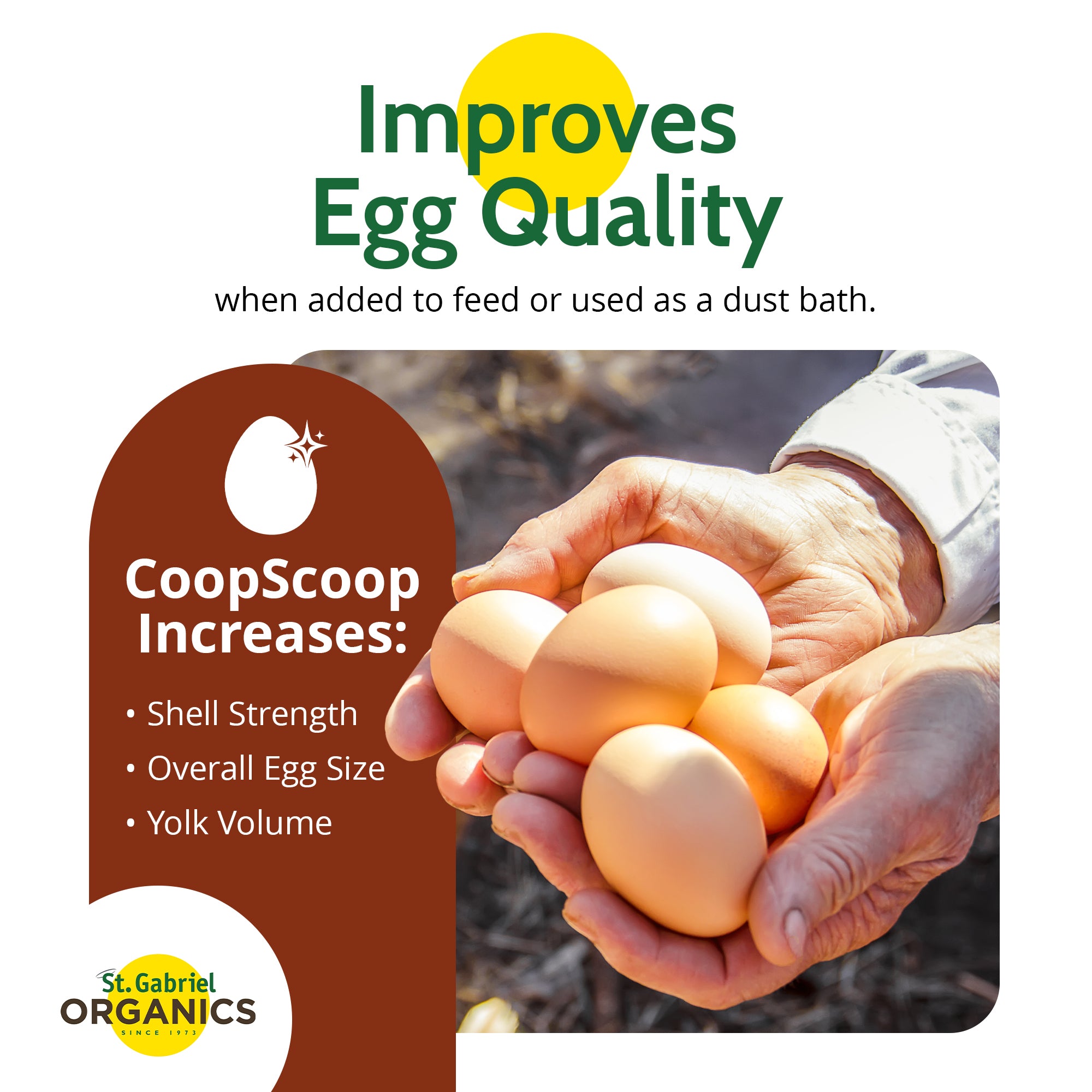 St. Gabriel Organics CoopScoop Food Grade Diatomaceous Earth Supplement, 20oz