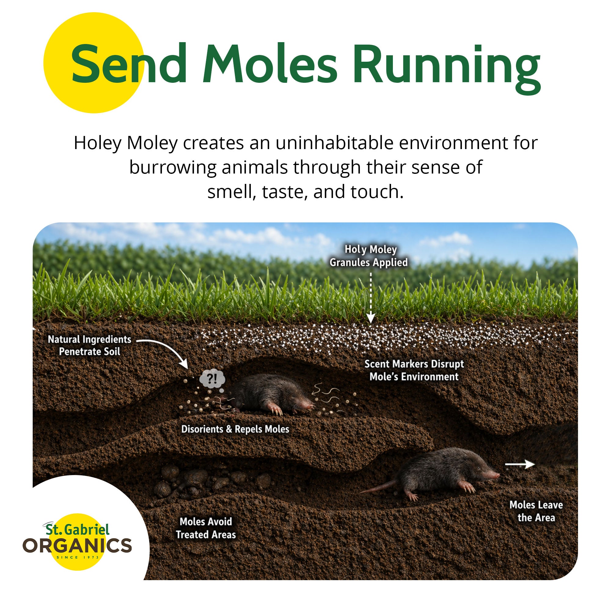 St. Gabriel Organics Holy Moley No More Moles Backyard Repellent, 10lbs