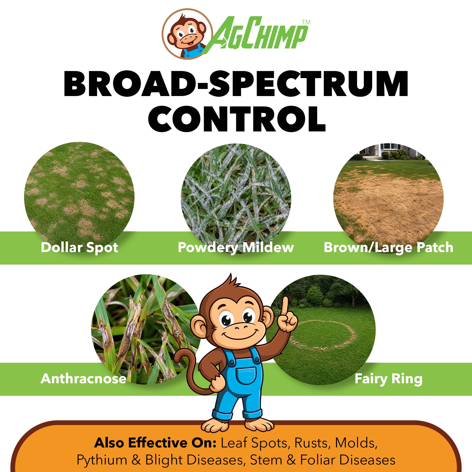 AgChimp Strobe+ G Broad-Spectrum Dual-Action Granular Lawn Fungicide, 15lbs