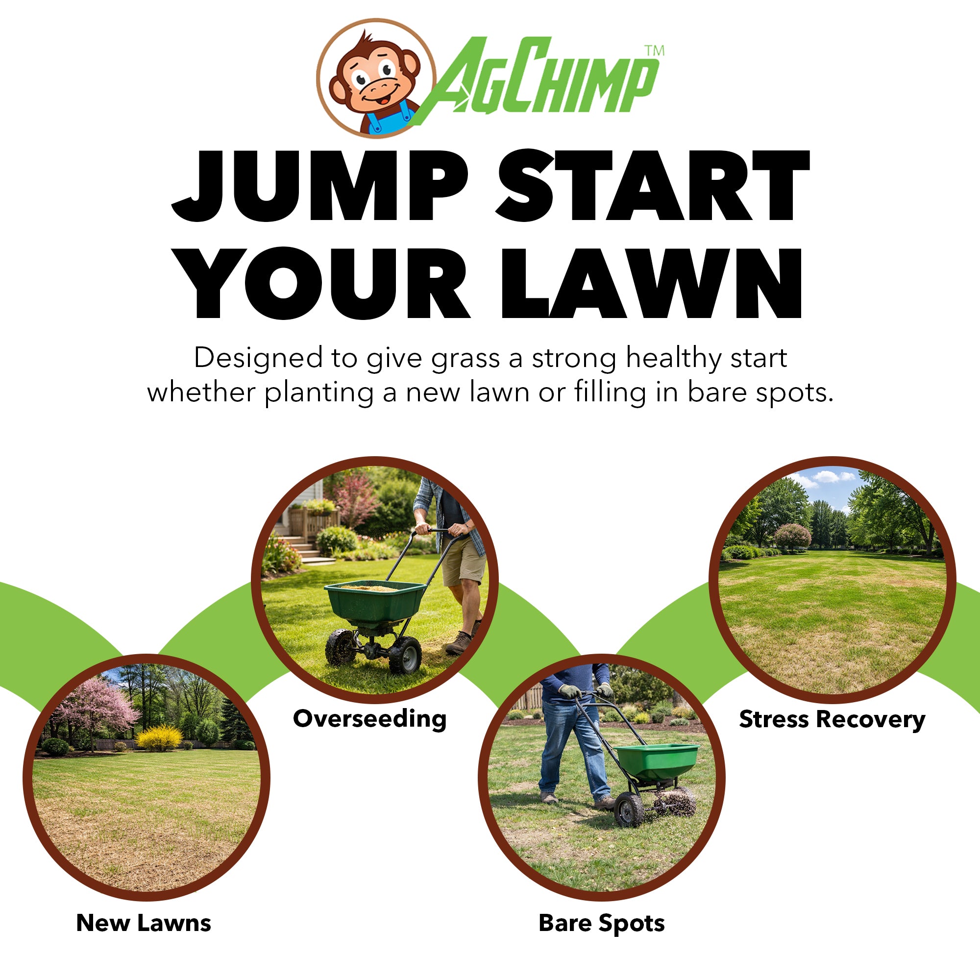 AgChimp 18-24-12 Professional Turf Starter Fertilizer, 16lbs, 5,000 sq ft