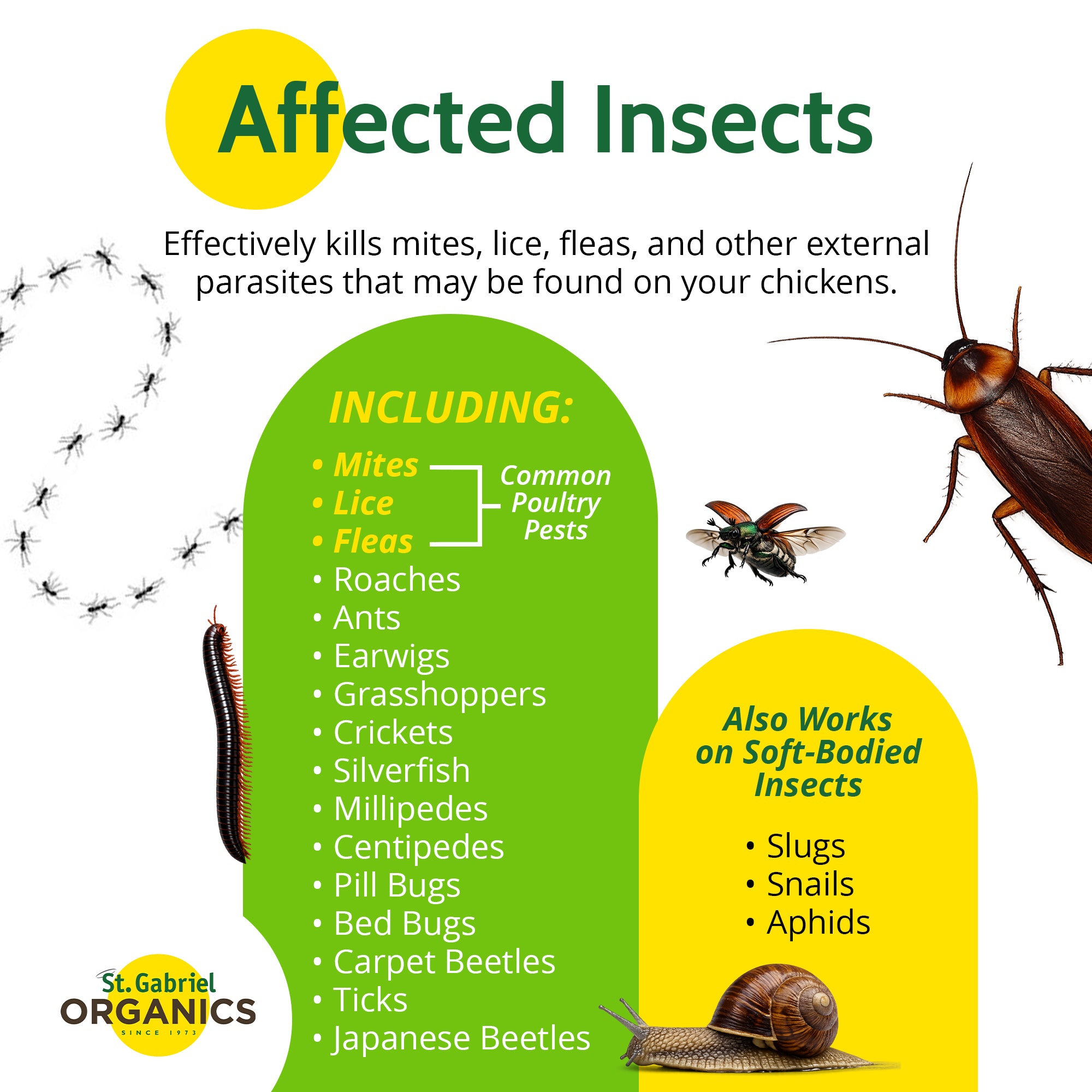 St. Gabriel Organics DE-Mite Chicken Dust Bath Diatomaceous Earth, 20oz