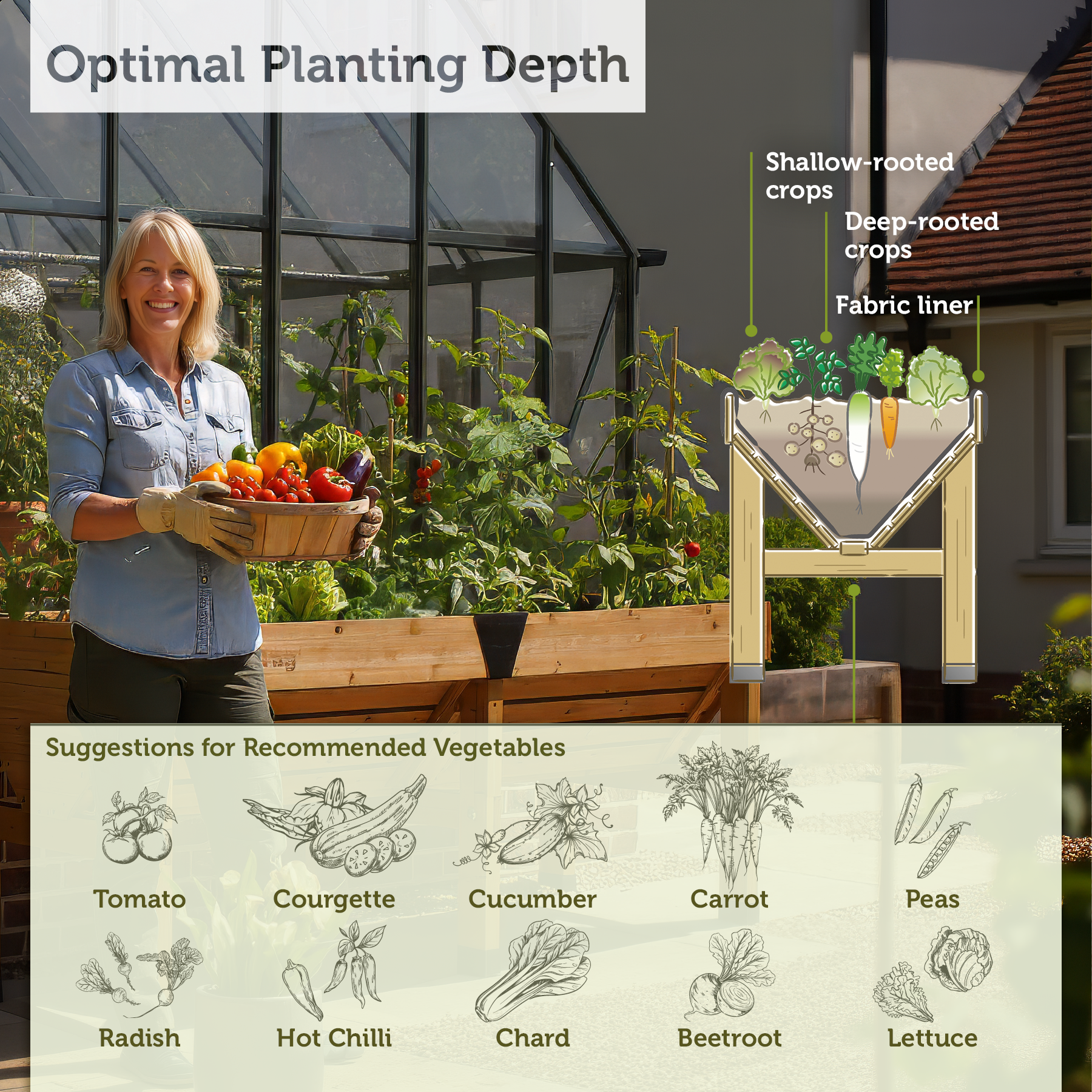 VegTrug Classic Raised Bed Cedar Wood Planter with Segmented Design, Natural, Medium 1.8m