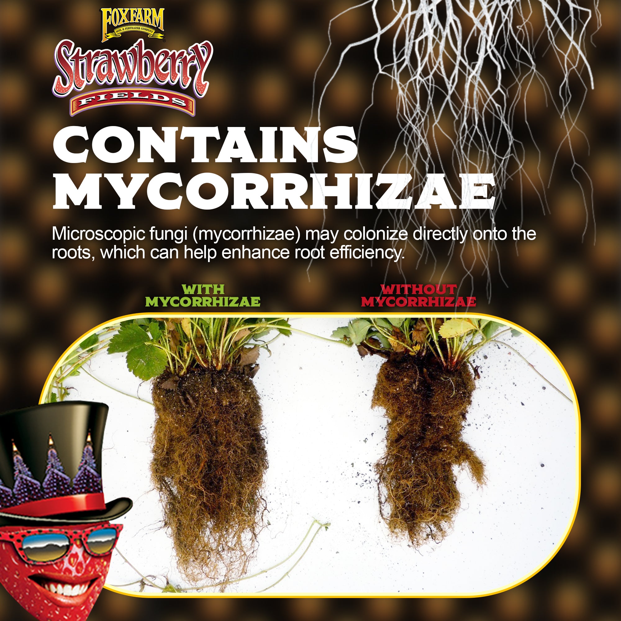 FoxFarm Strawberry Fields Fruiting & Flowering Potting Soil, 1.5cu ft