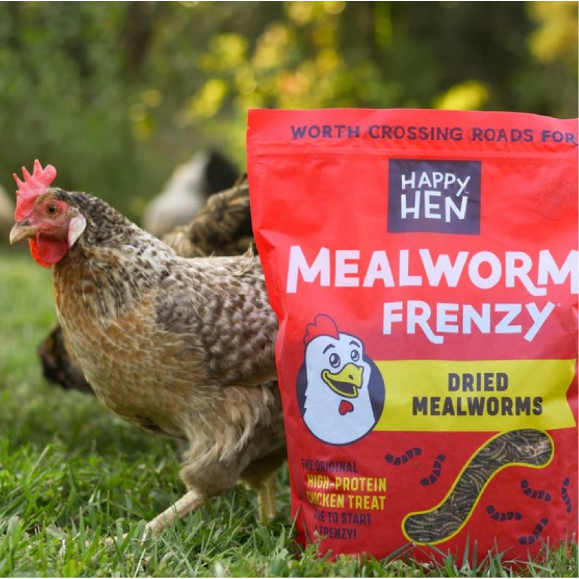Happy Hen Treats Mealworm Frenzy - 100% Natural Dried Mealworms - High-Protein Poultry Snack
