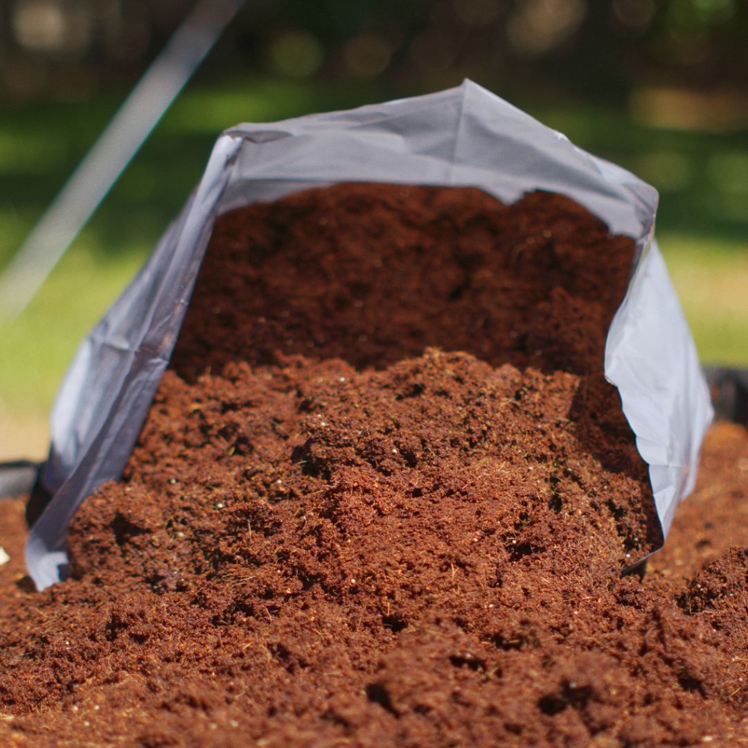 VegTrug Coir Soil for Small & Medium Raised Bed Planters (Pack of 4)