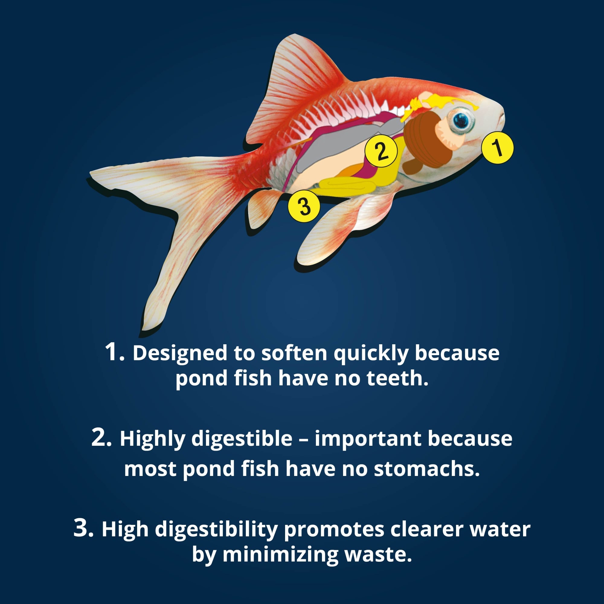 TetraPond Spring & Fall Transitional Pond Sticks Koi and Goldfish Food, 7 oz