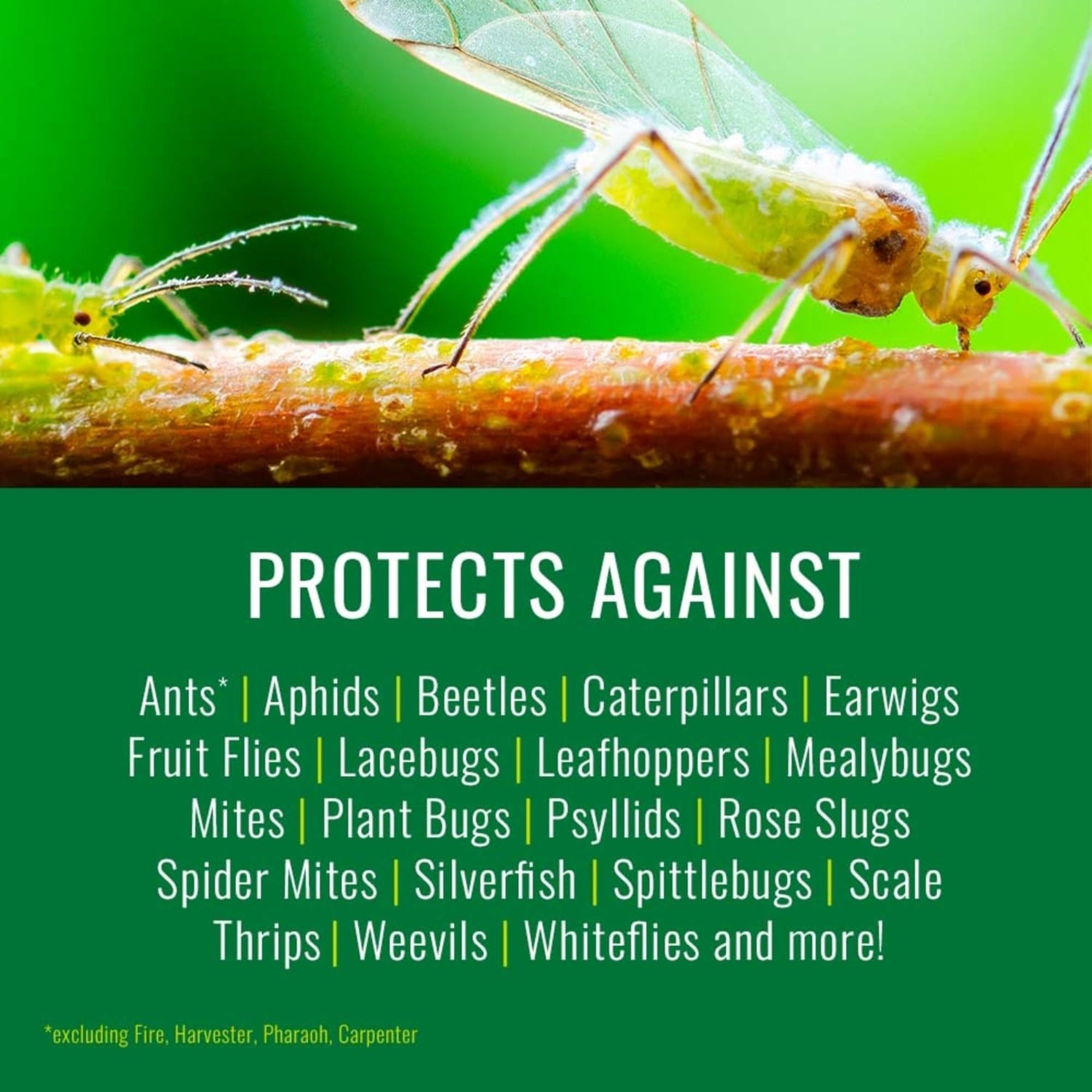 Natria Rose & Flower Insect, Disease, & Mite Control, Ready-to-Use Spray, 24oz