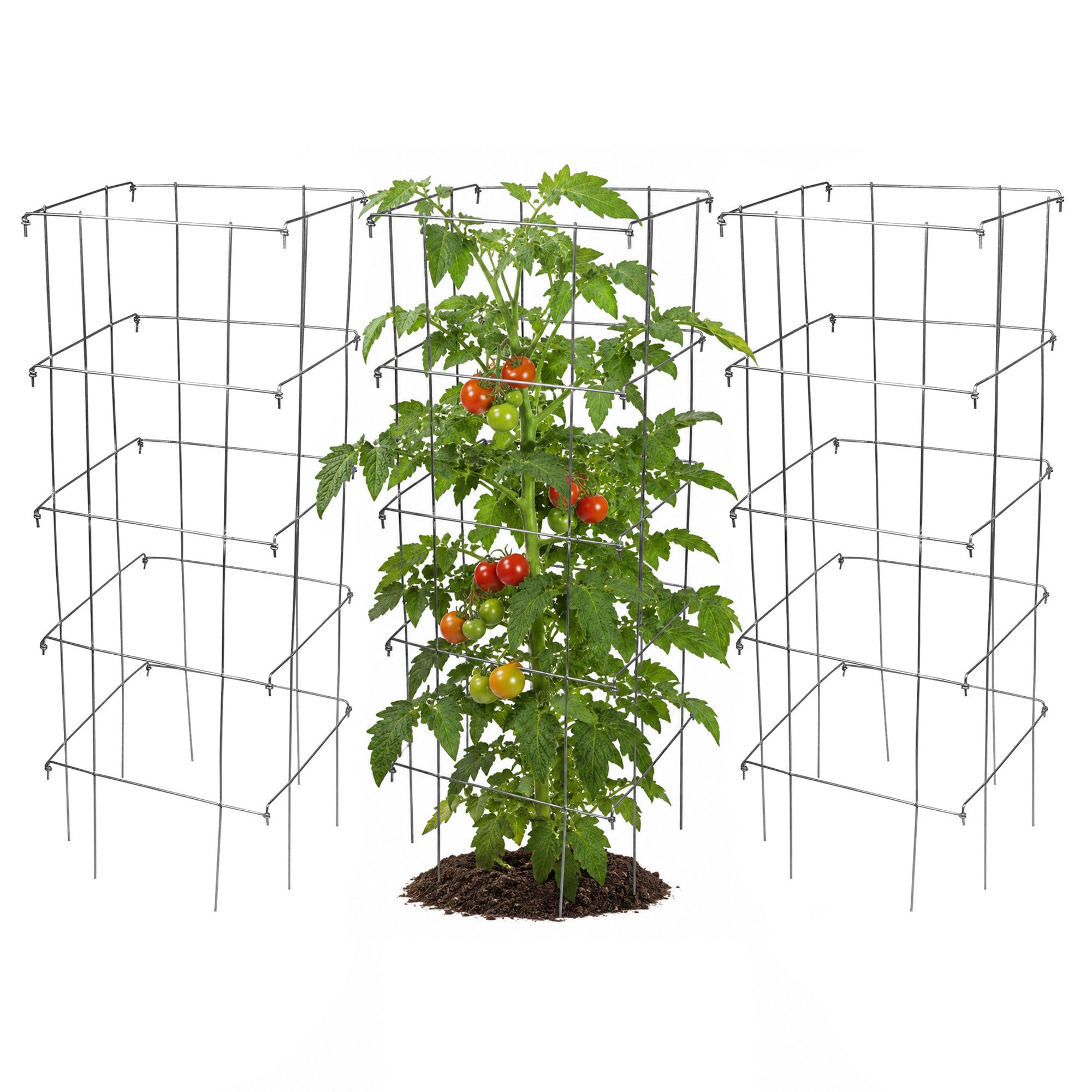 Garden Elements Square 8-Leg Heavy-Duty Collapsible Tomato Cages, 40in H (Pack of 3)