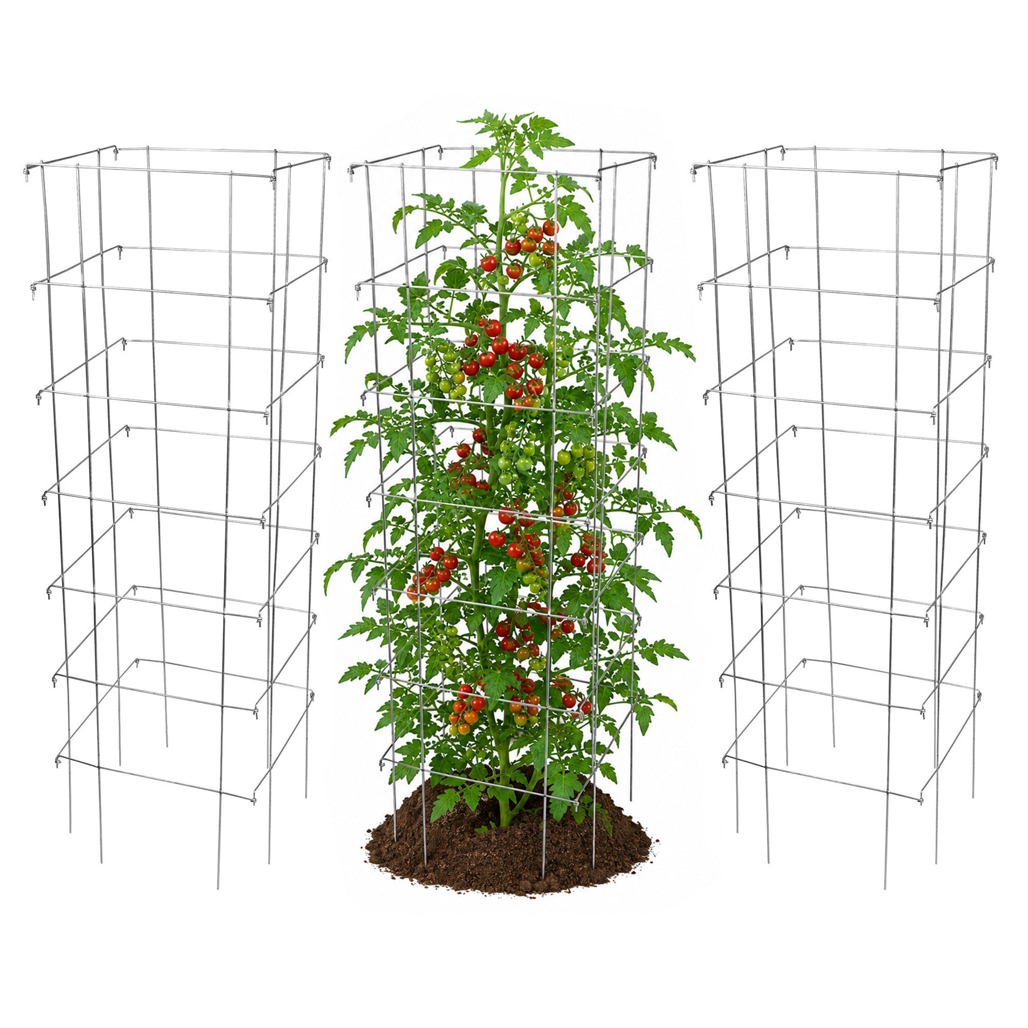 Garden Elements Square 8-Leg Heavy-Duty Collapsible Tomato Cages, 58in H (Pack of 3)