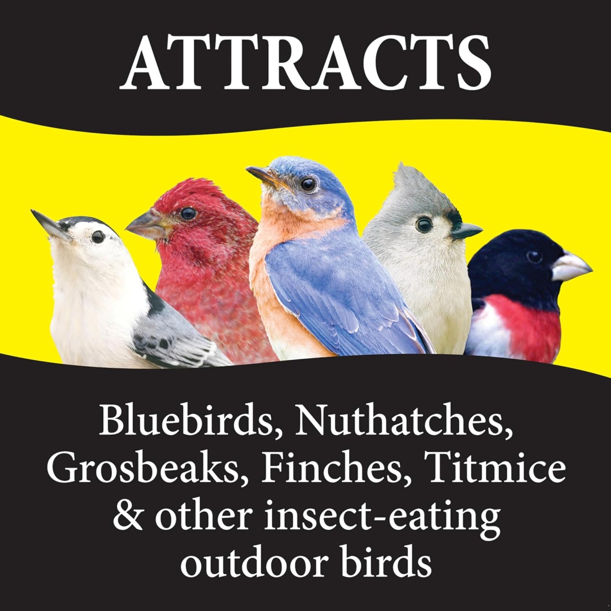 Wild Delight Advanced Formula Bugs N' Berries Wild Bird Food, 4.5lbs